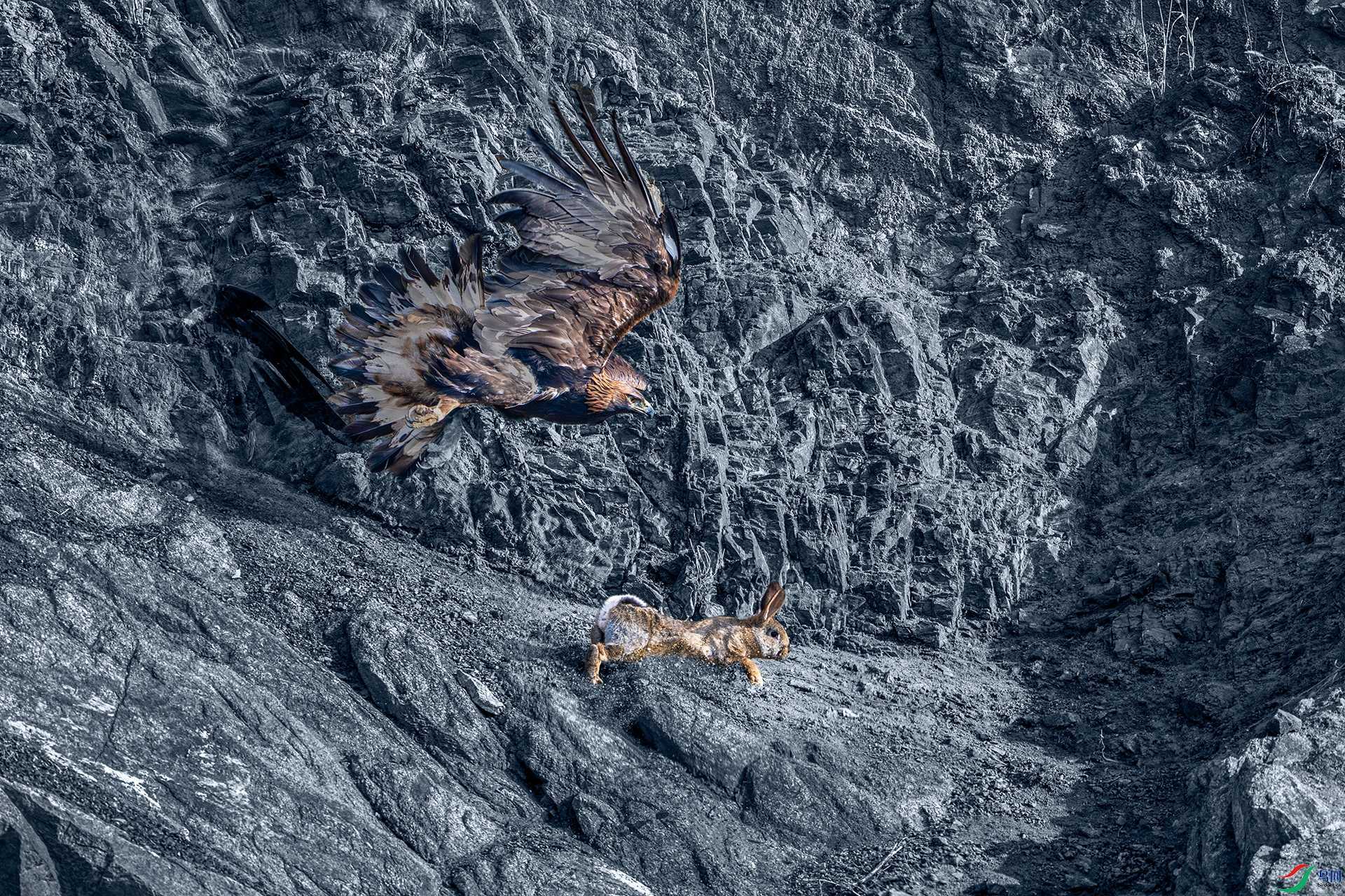 _DSC9637-����ǿ-NR ���� 2С.jpg