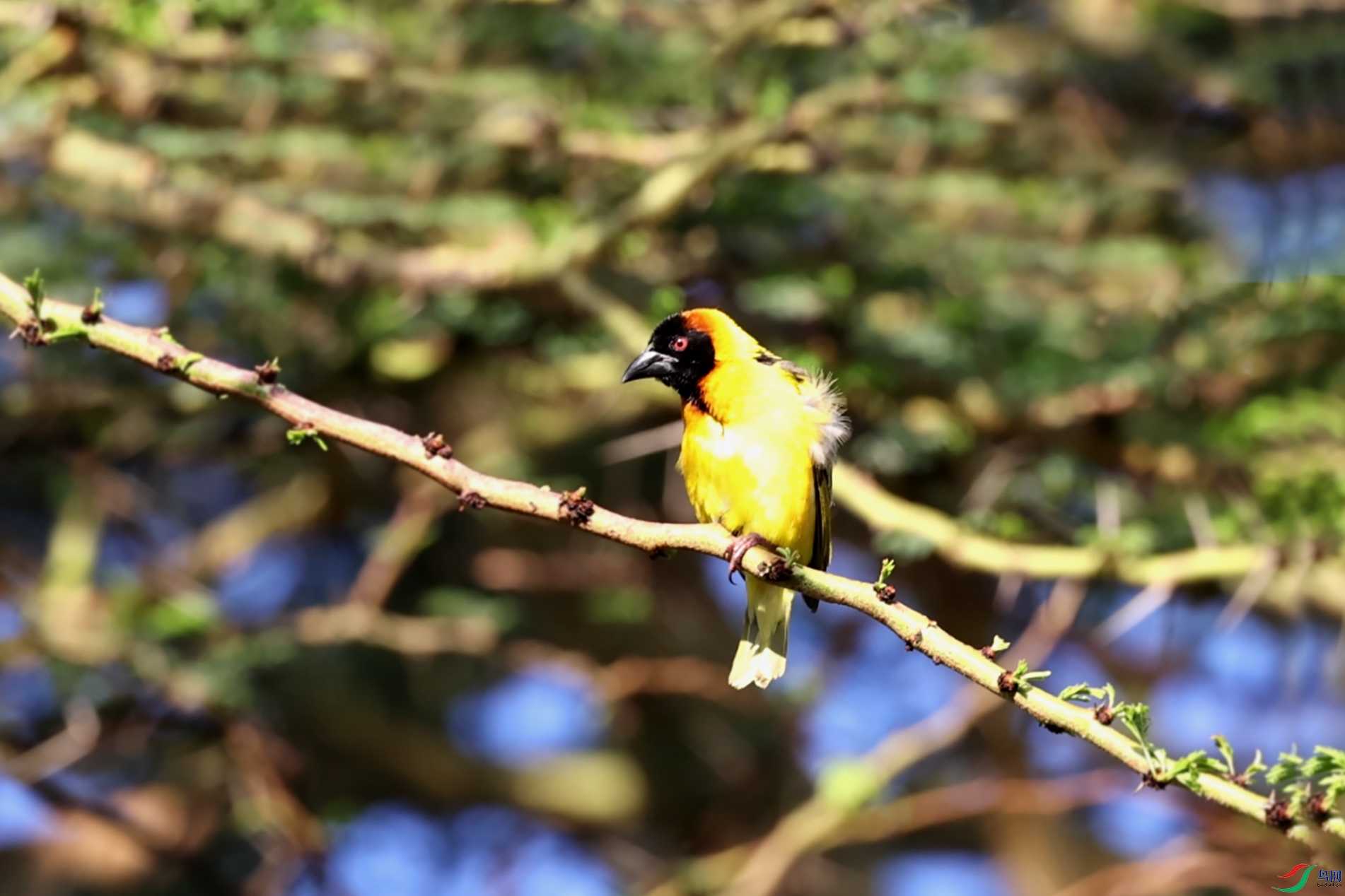 DSC_0488.jpg