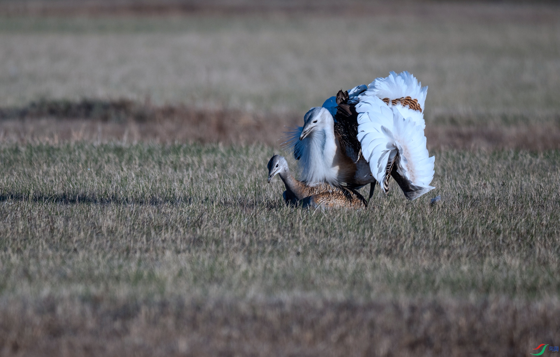 _DSC6374.jpg