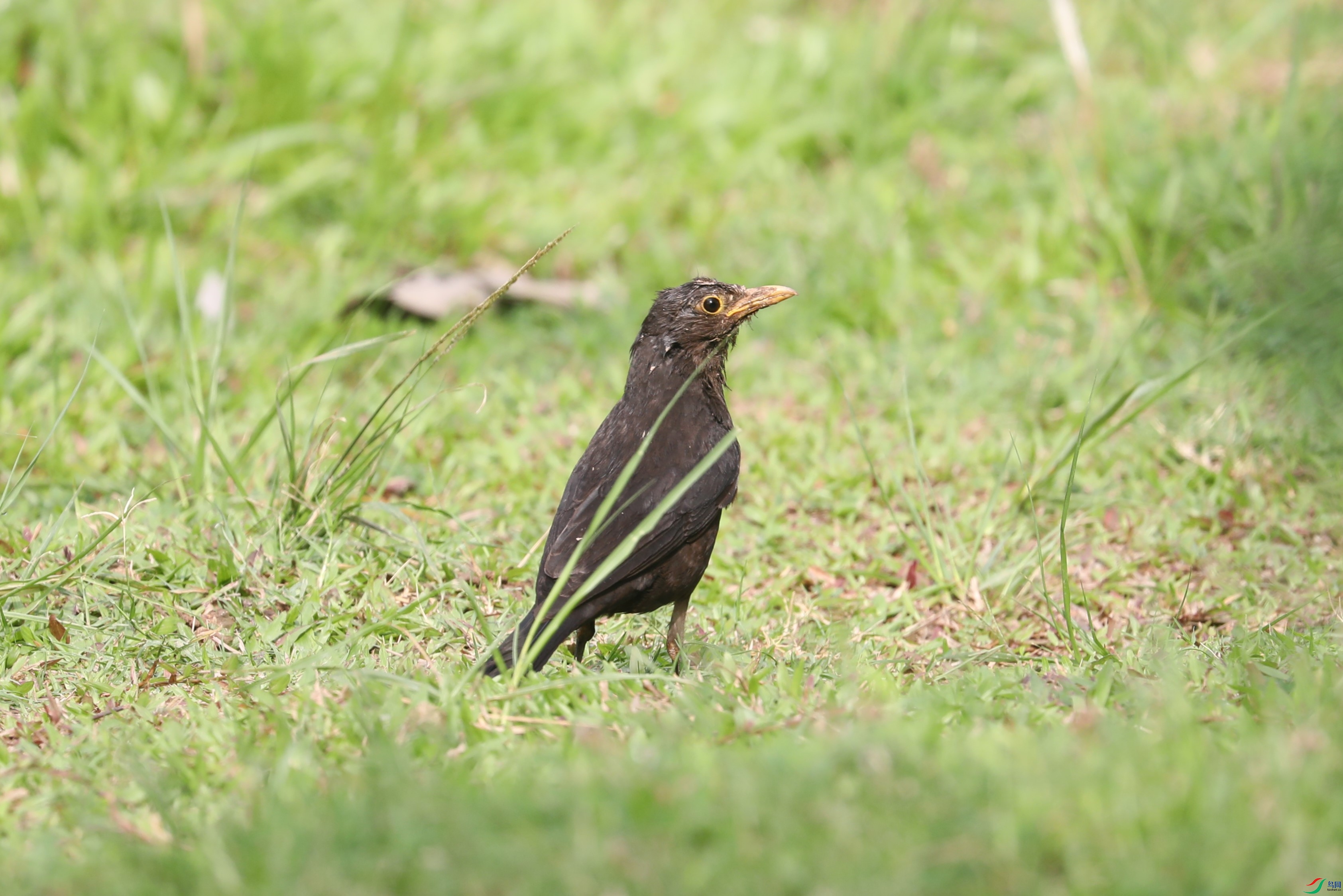 BL7A5867.JPG