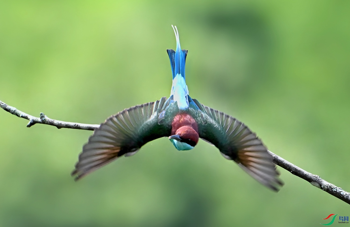 DSC_0265.jpg