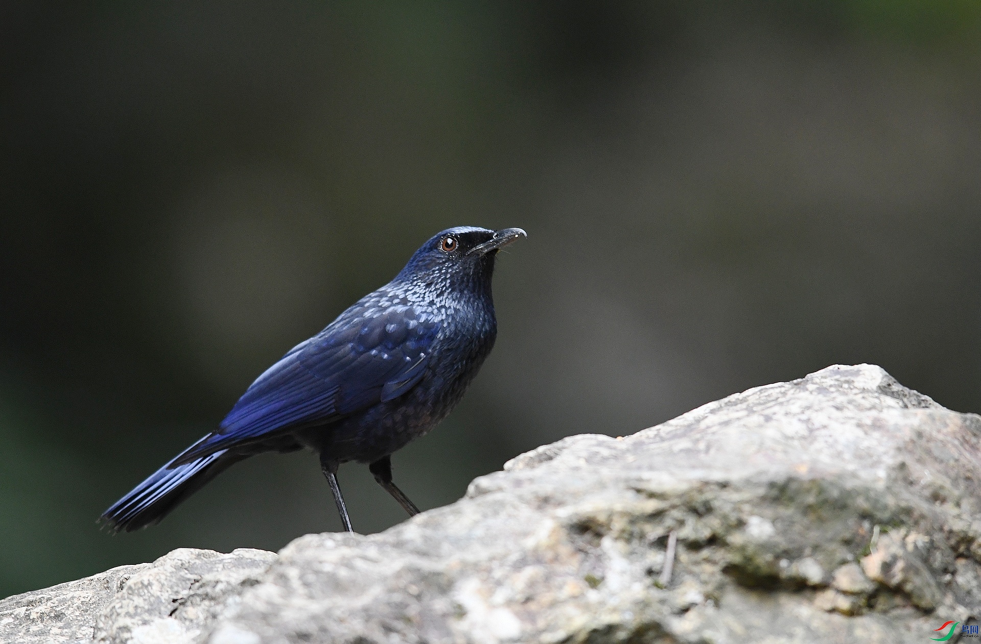 DSC_9348.jpg
