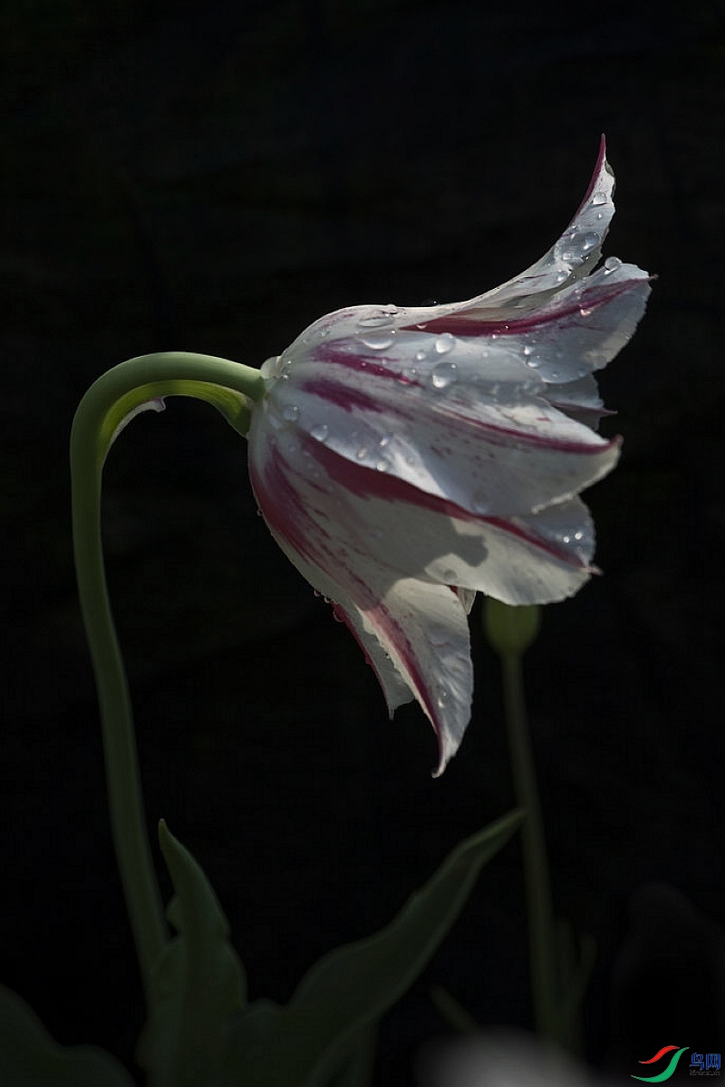 969P7183r.jpg