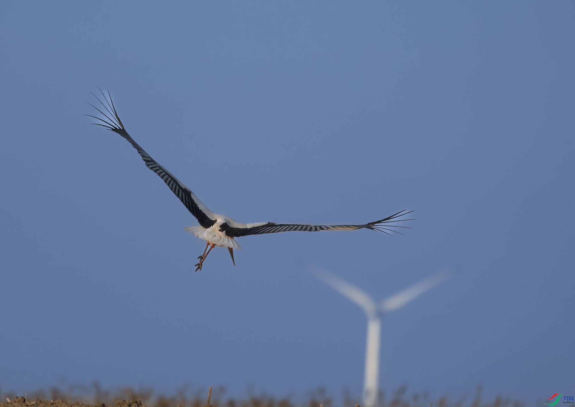 DSC02472-topaz-denoiseraw-sharpen ����.jpg