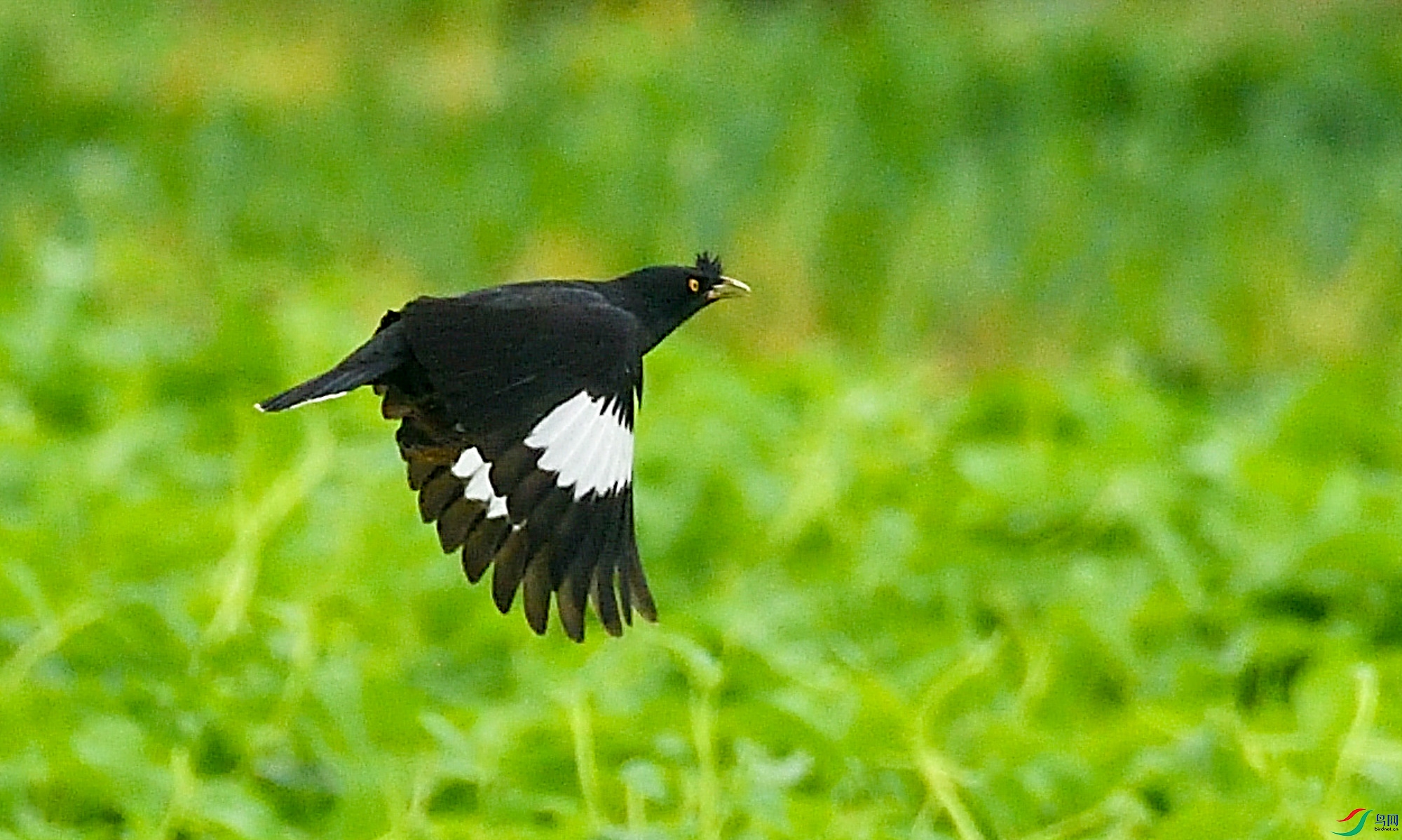 DSC_9223.jpg