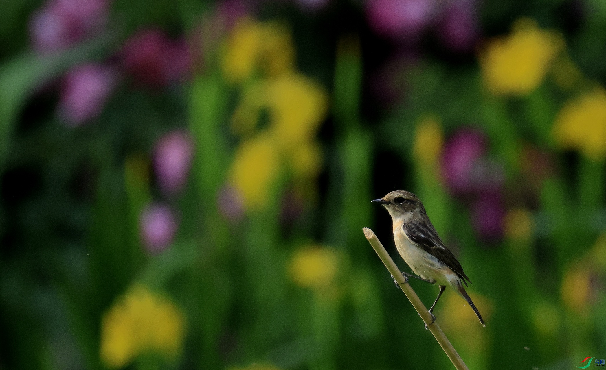 _35A0556_����.jpg