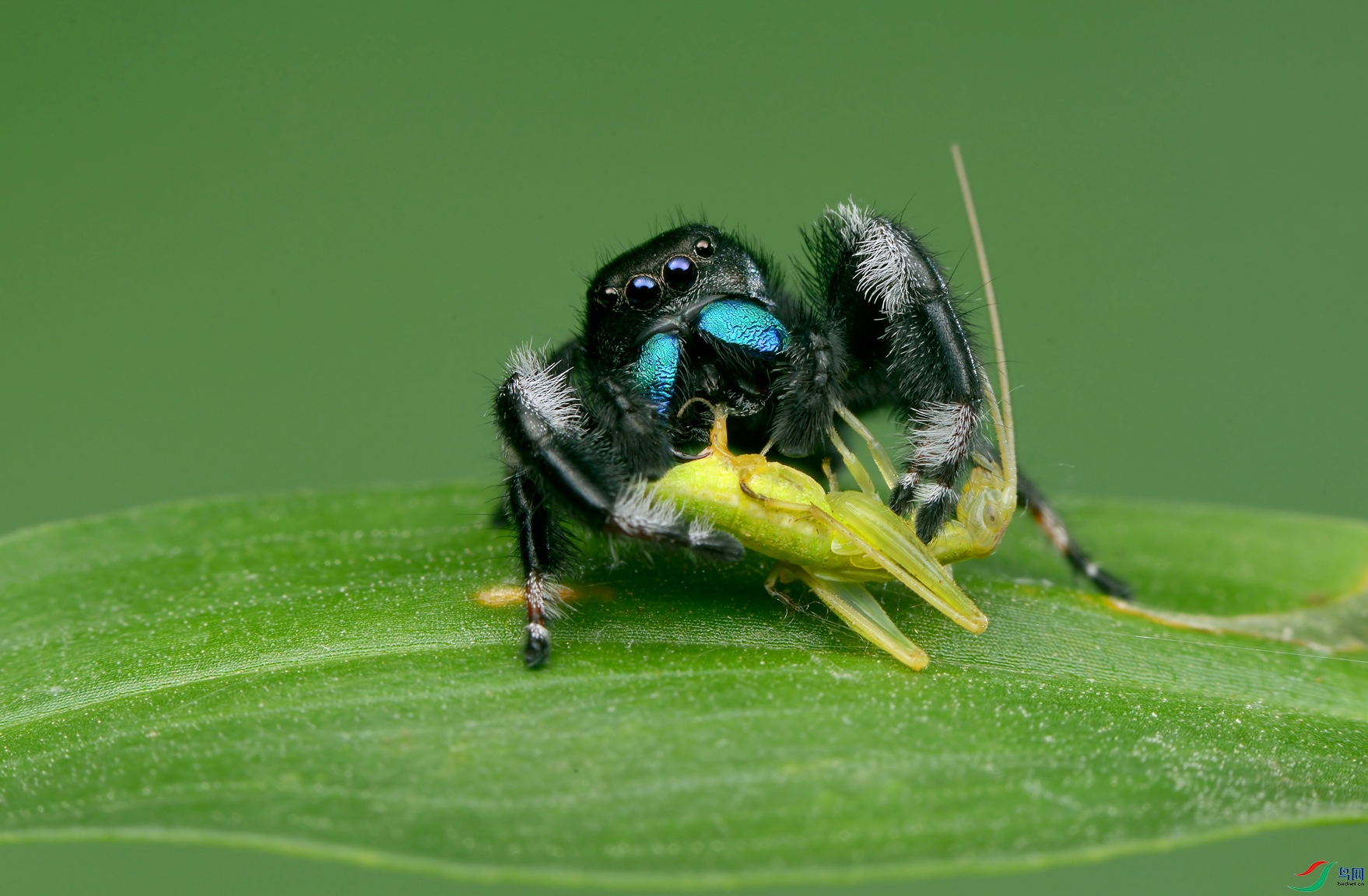 DSC_1045 ����.jpg