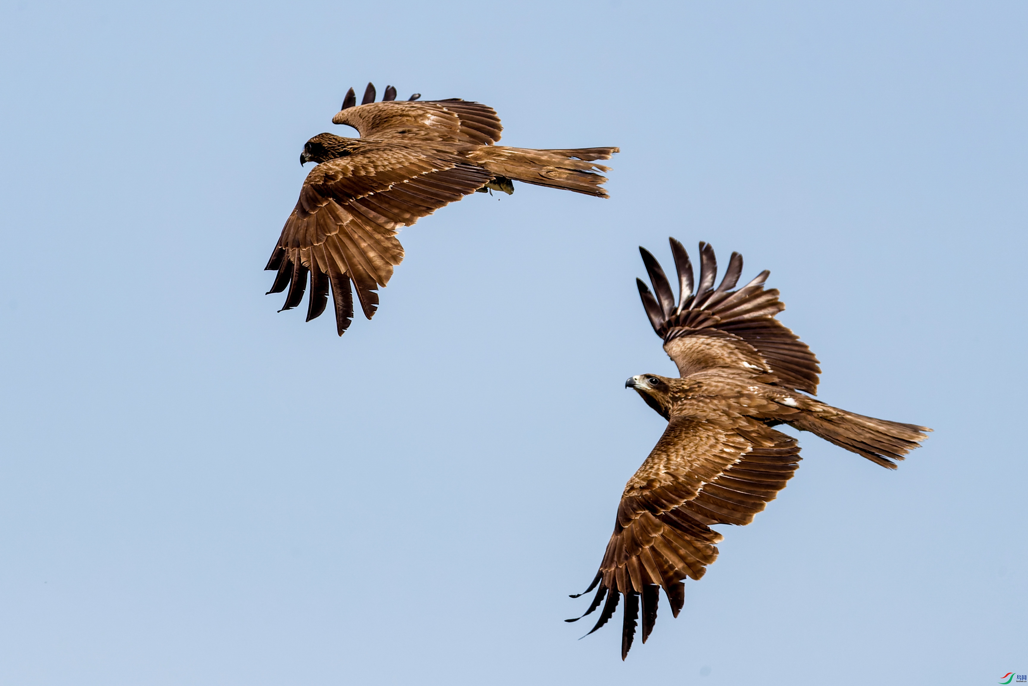 2X2_4836-CR2_DxO_DeepPRIME-1.jpg