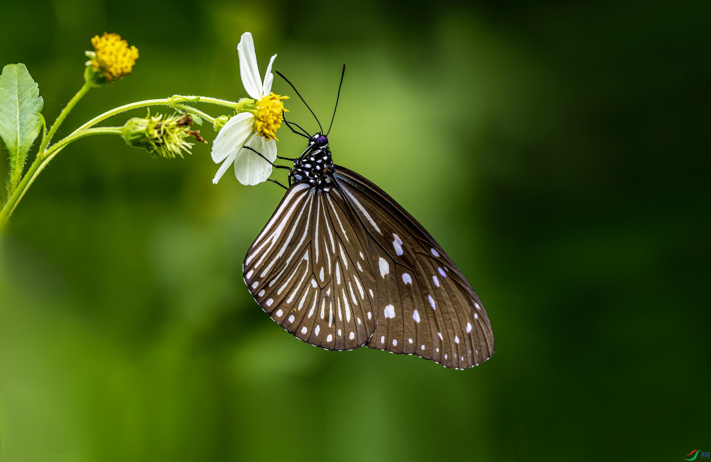 �����ϰߵ� (23)-01.jpg