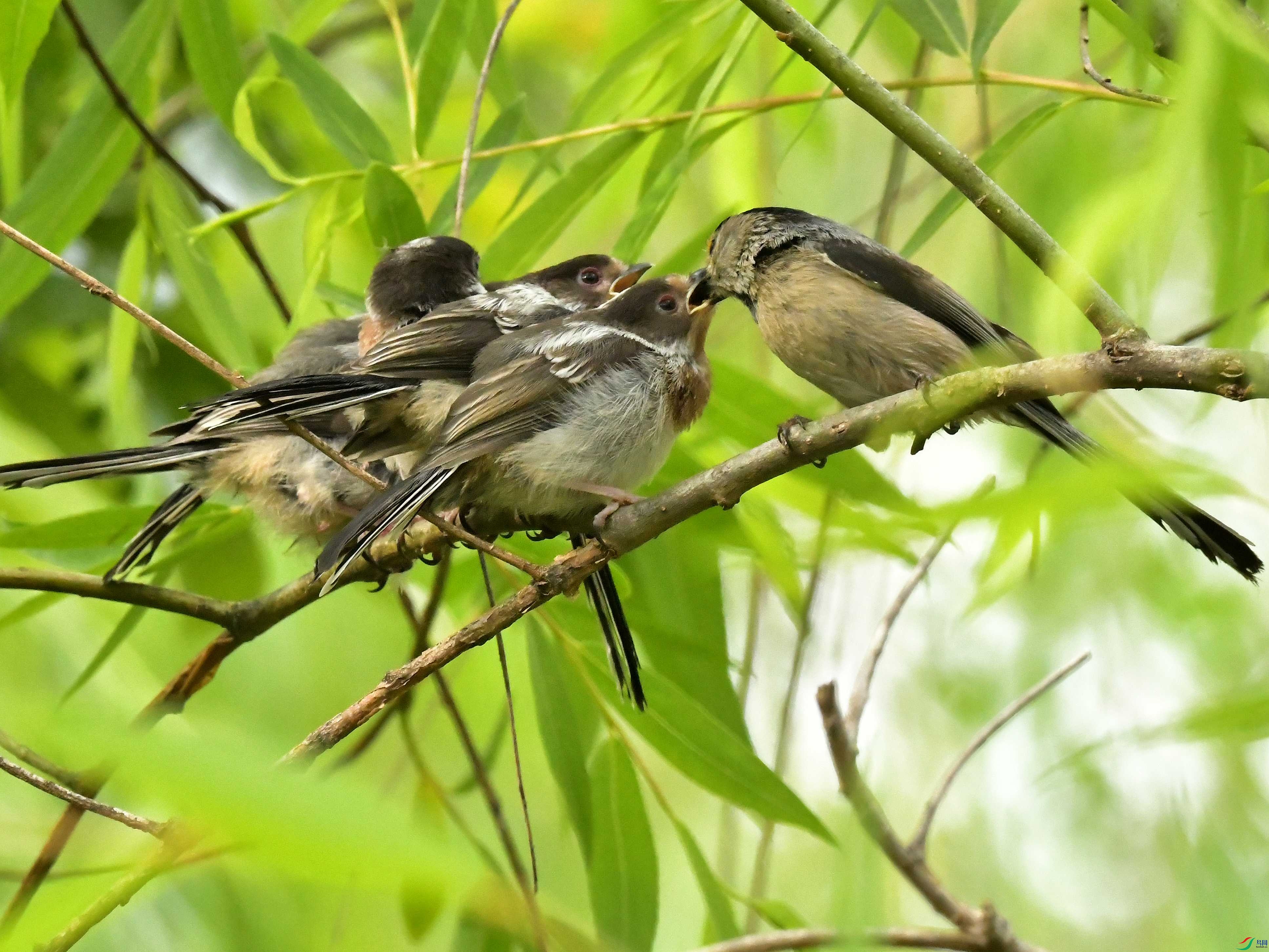 DSC_7951.jpg