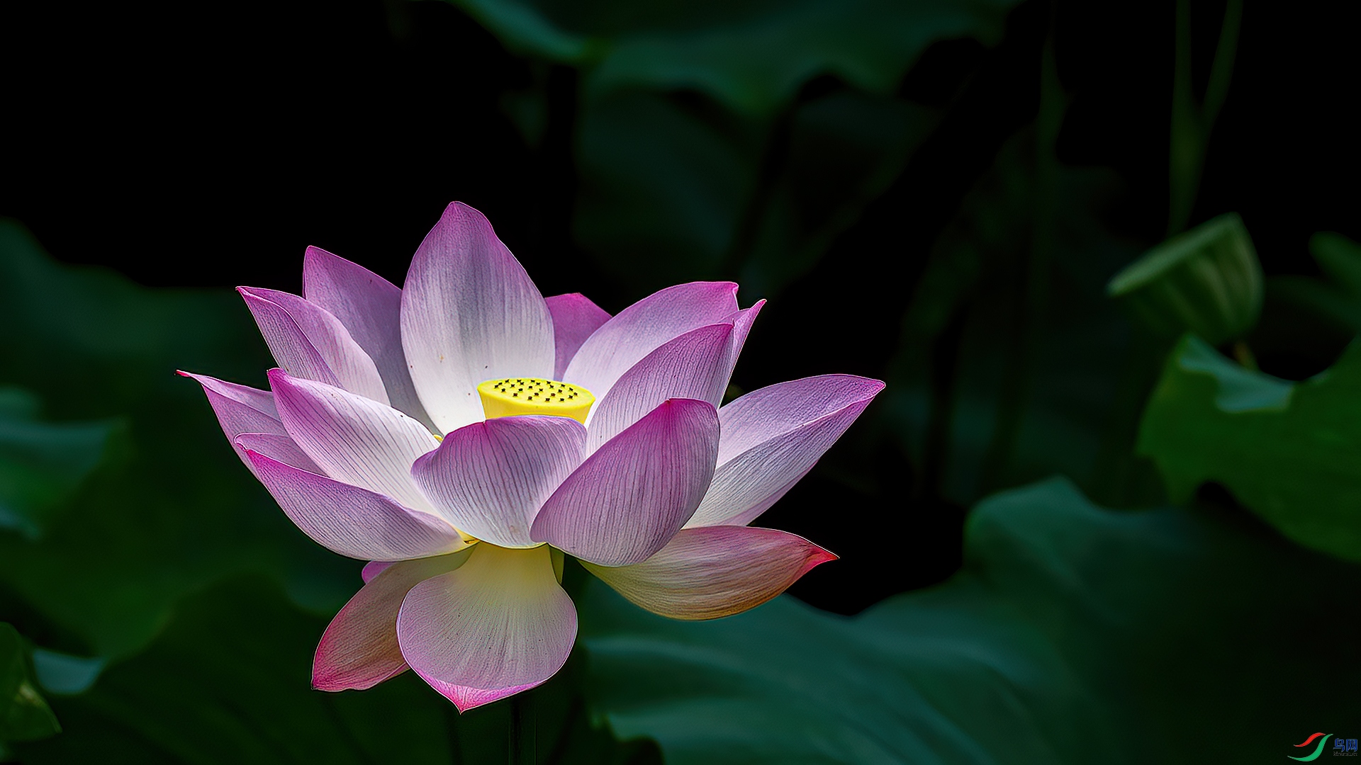 DSC_7888_DxO�ɻ�.jpg