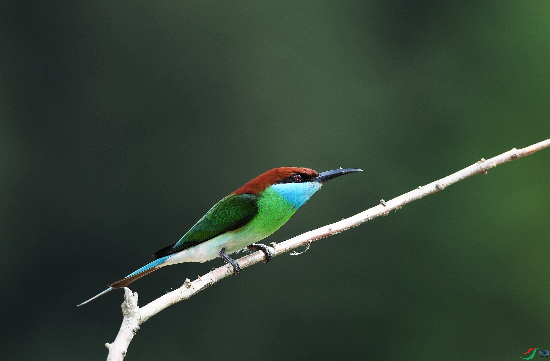 DSC_1441.jpg