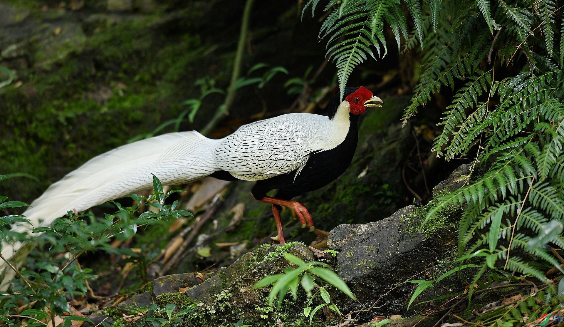 DSC_7774.jpg