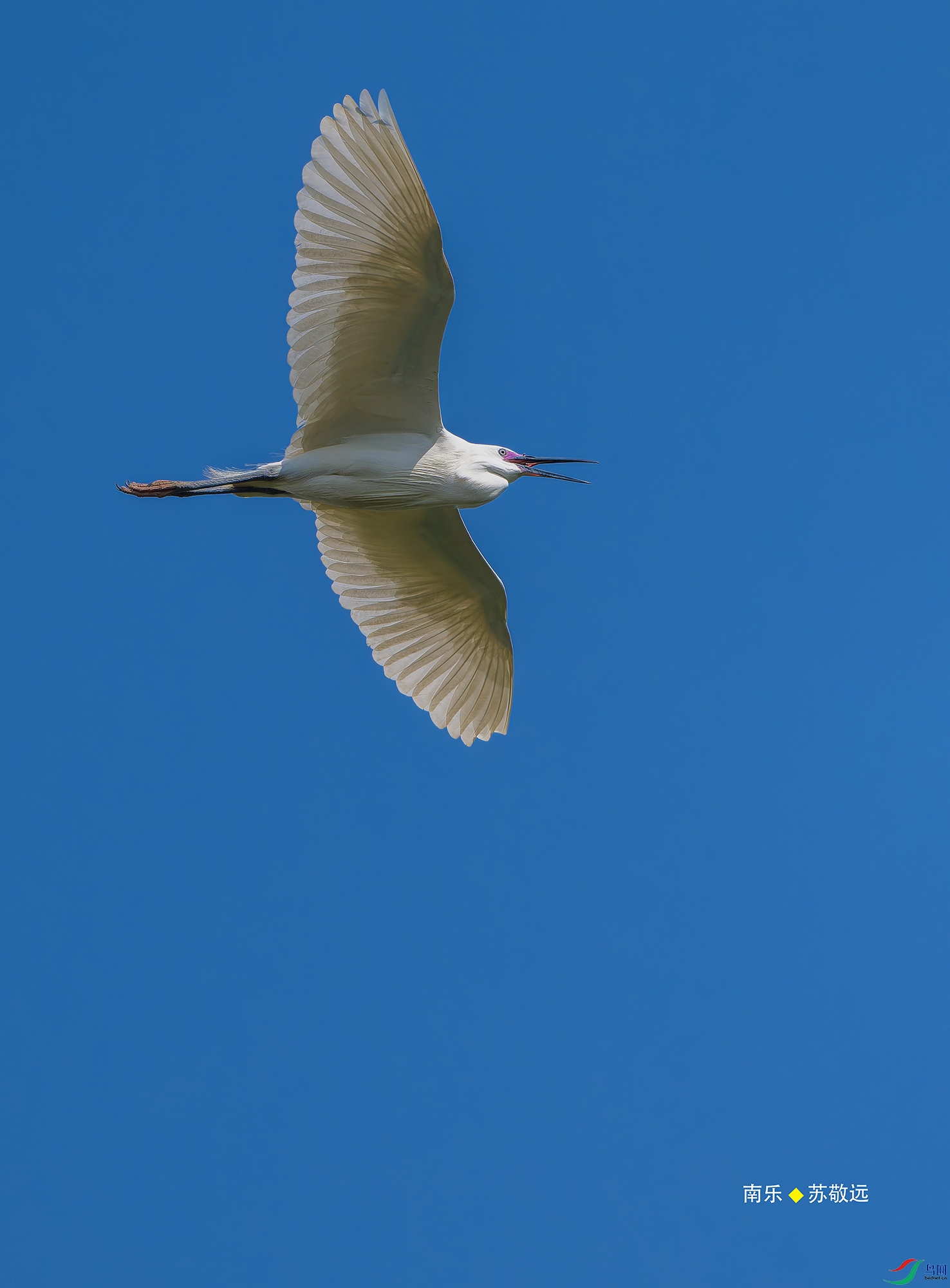_DSC0230-NEF_DxO_С.jpg