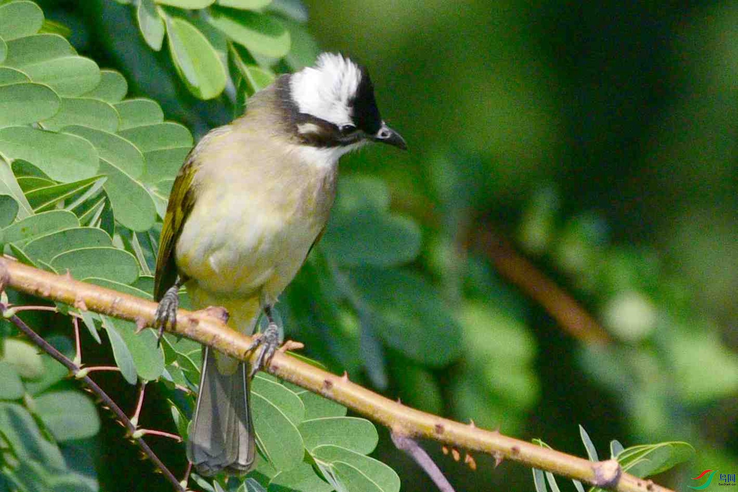 DSC_9063.JPG