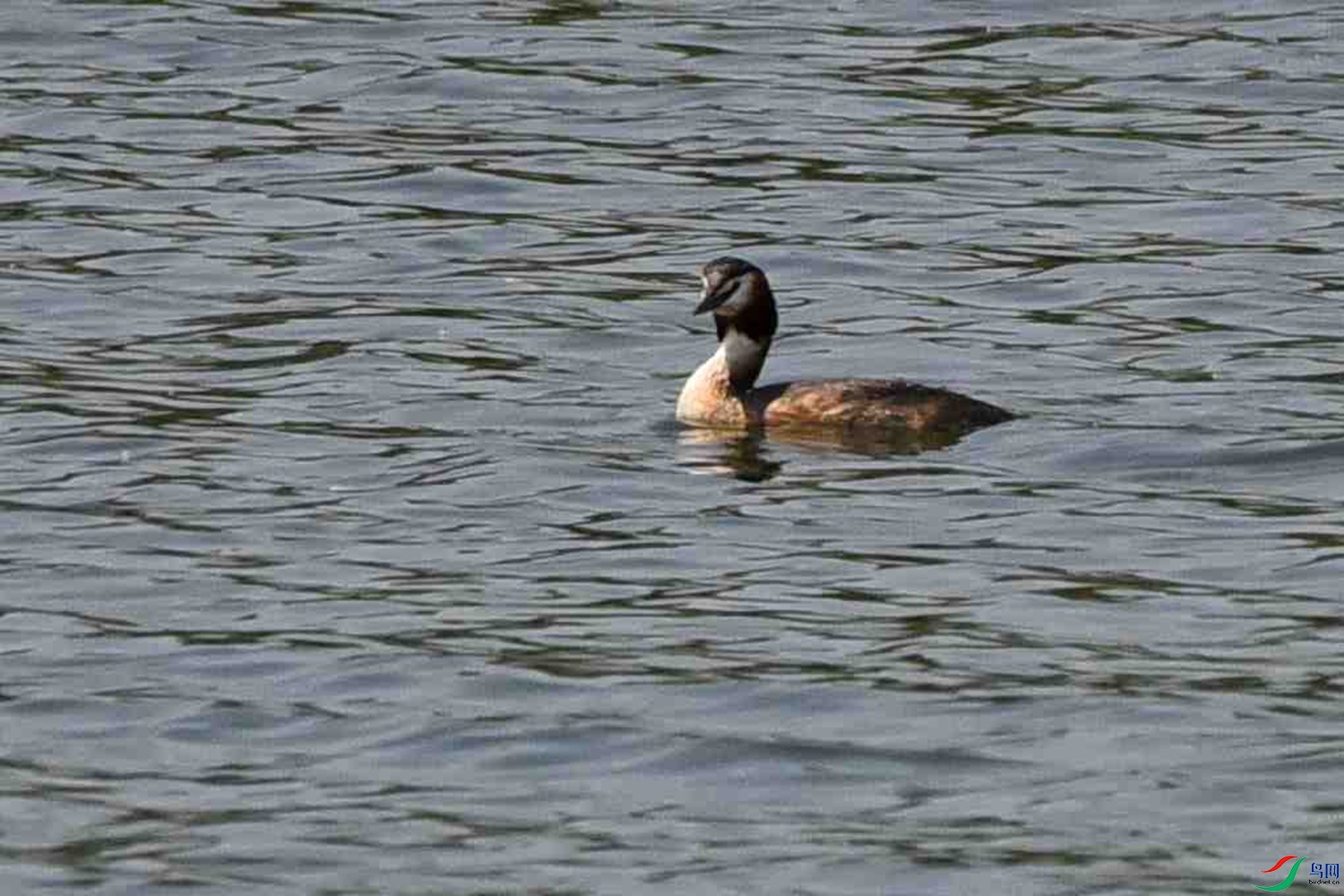 DSC_5614.JPG