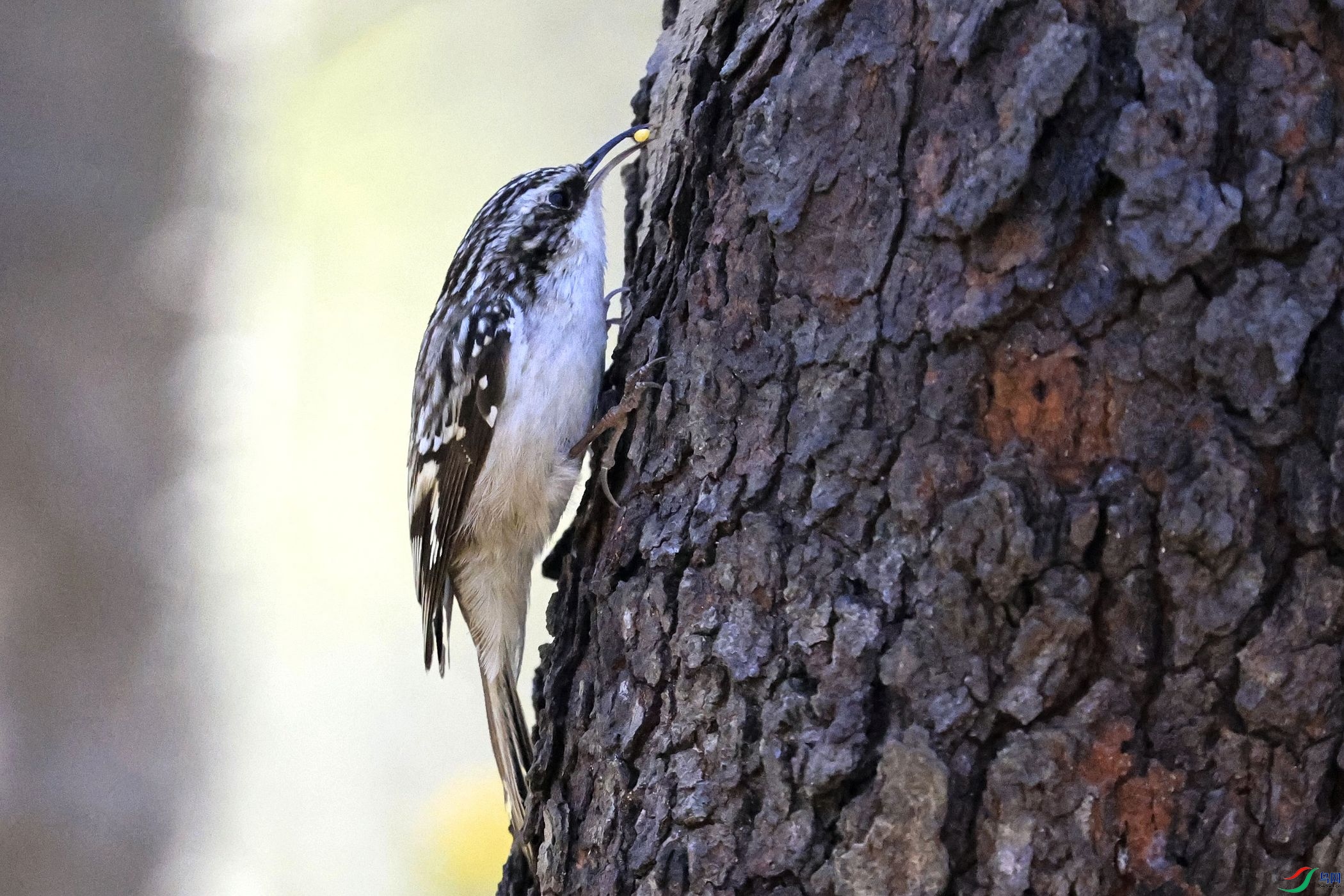 ����ľȸ 01.jpg