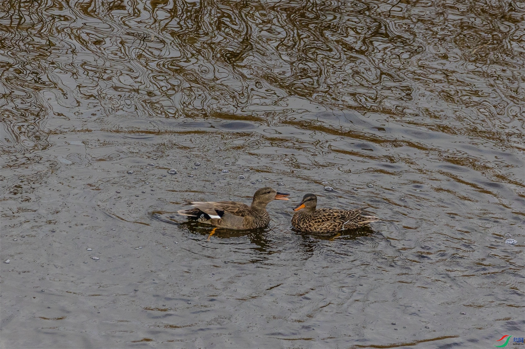 1K3A0280 ����1.jpg