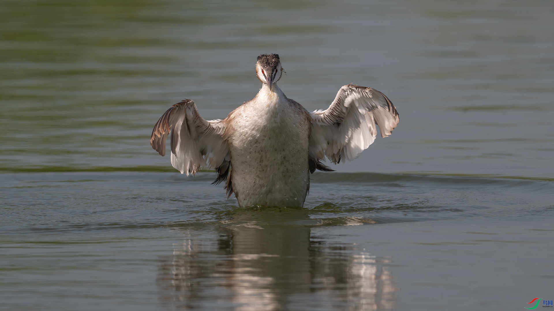 DSC_2247-����ǿ-NR-1.jpg
