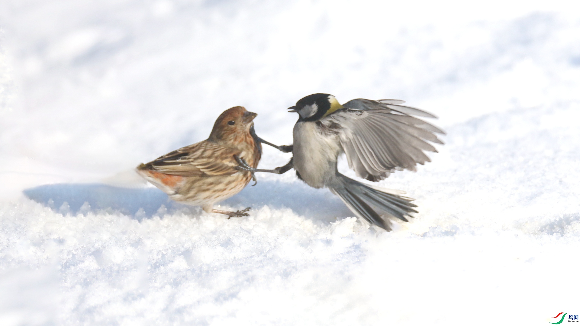 0G1A5624 ����.jpg