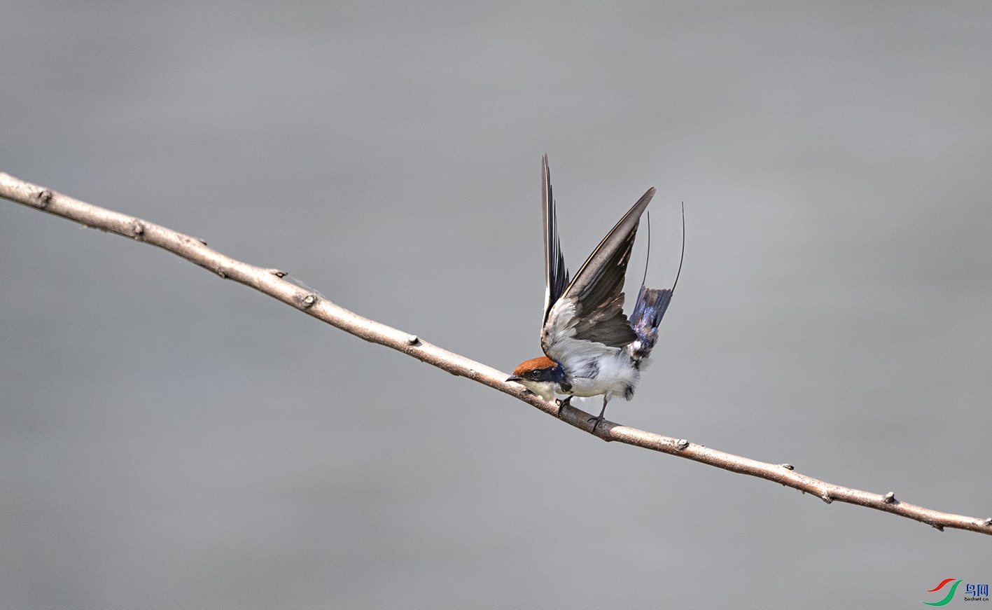 DSC_4107 ����.jpg