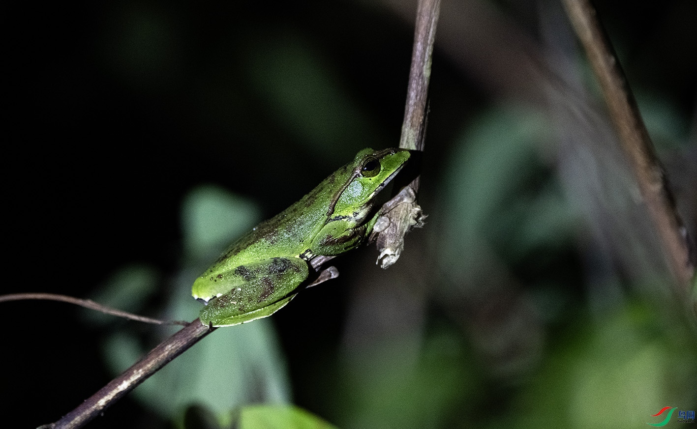 DSC_8695 ����.jpg