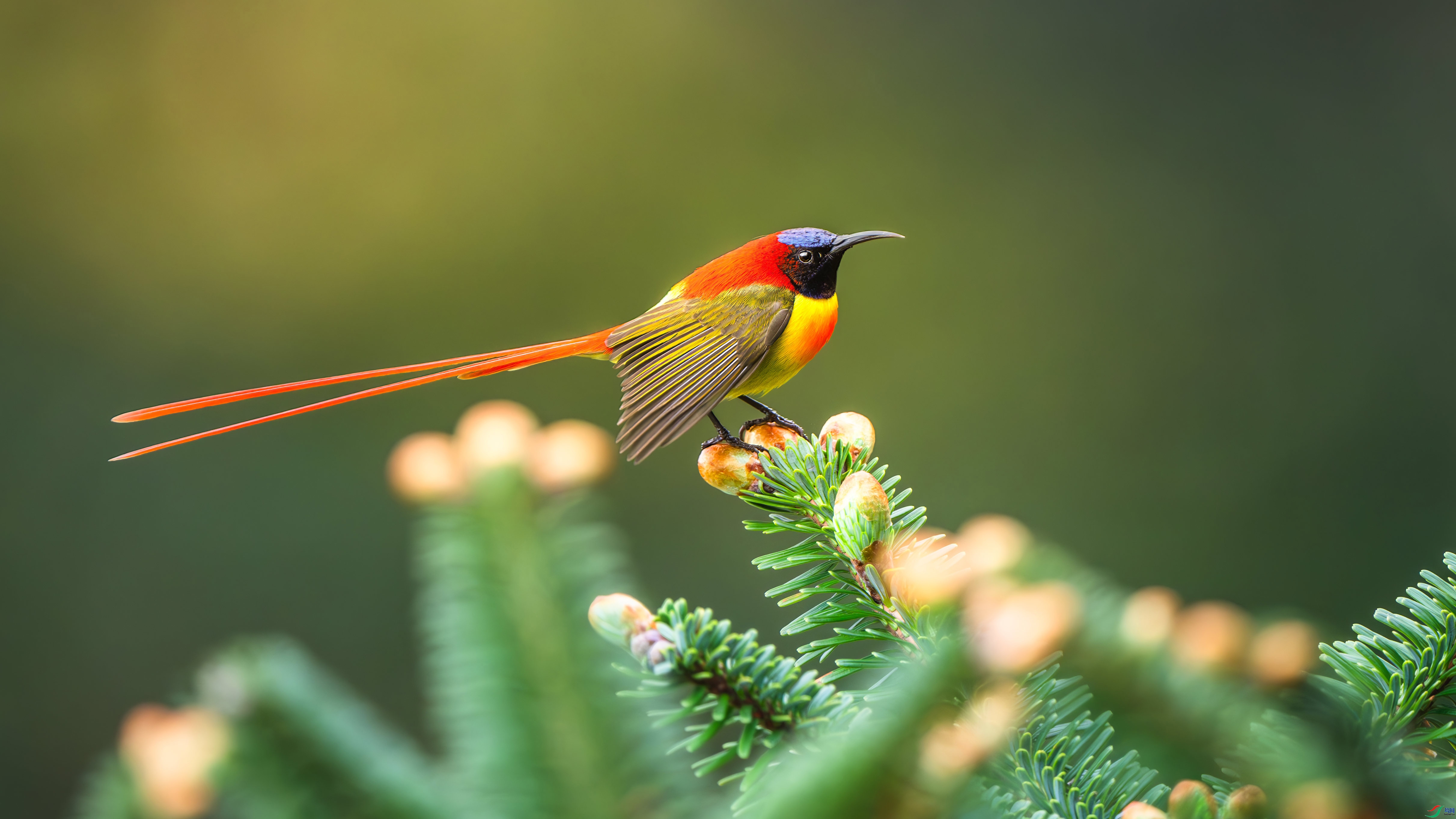 4.26��������ʦ��Ʒ   ���� ��ף���ٻ����Ѿ�����.jpg