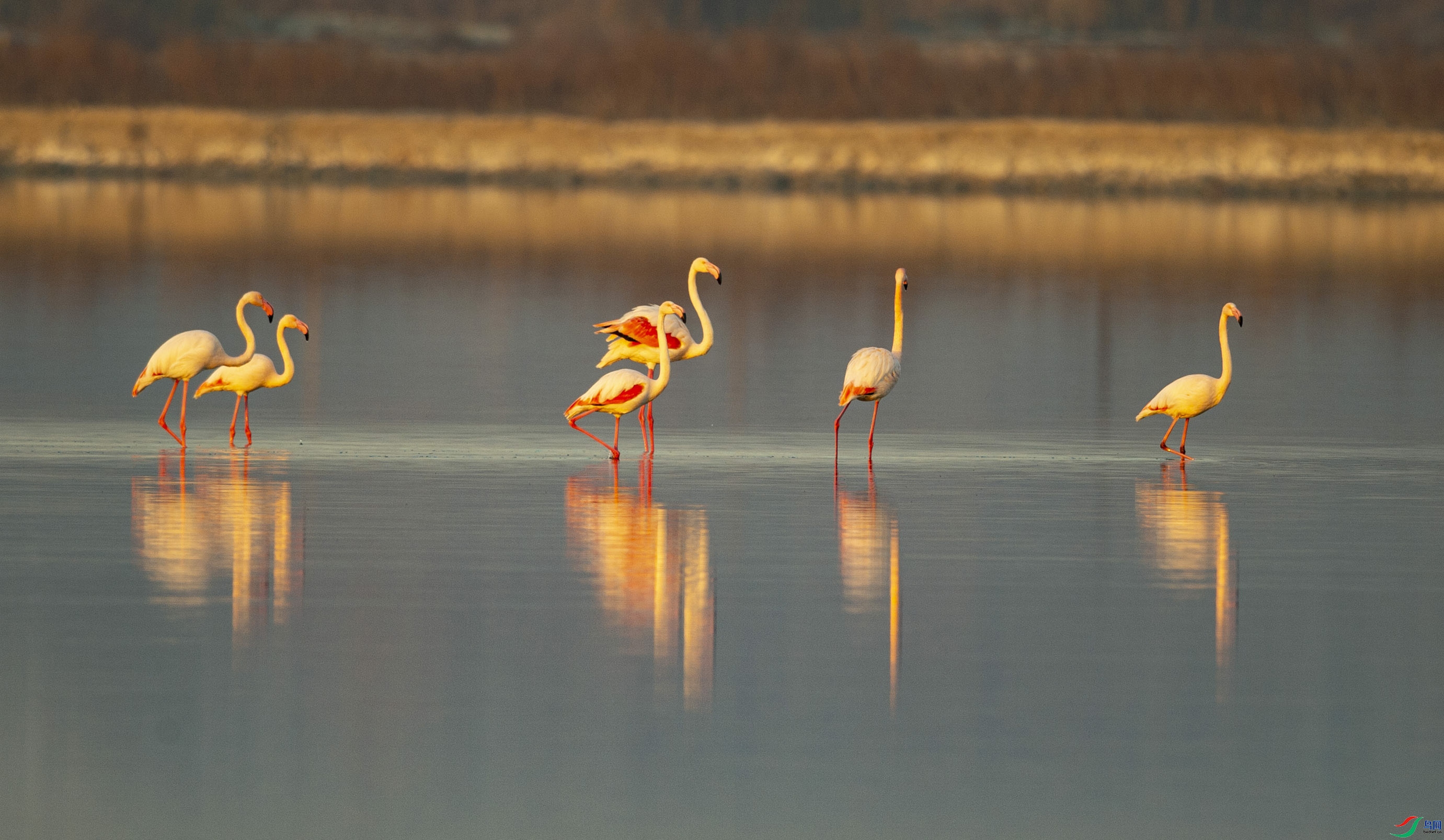 4.27ǳˮ�����ʦ��Ʒ   ƽ������ ��ף���ٻ��Ա������.jpg