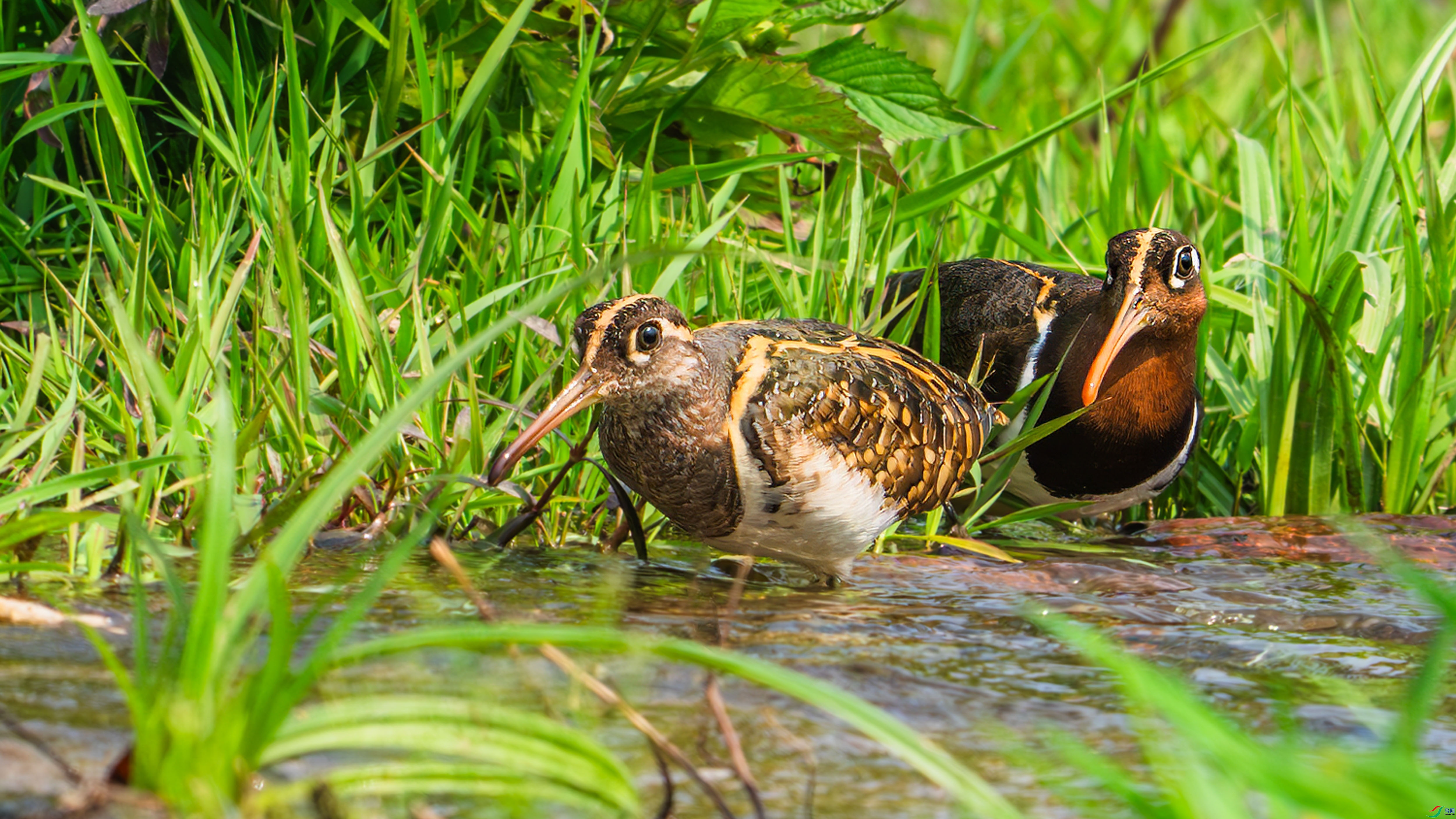 5.1����������ʦ��Ʒ   ף��ʦ���Ͷ��ڿ��֣� ��ף���ٻ����������.jpg