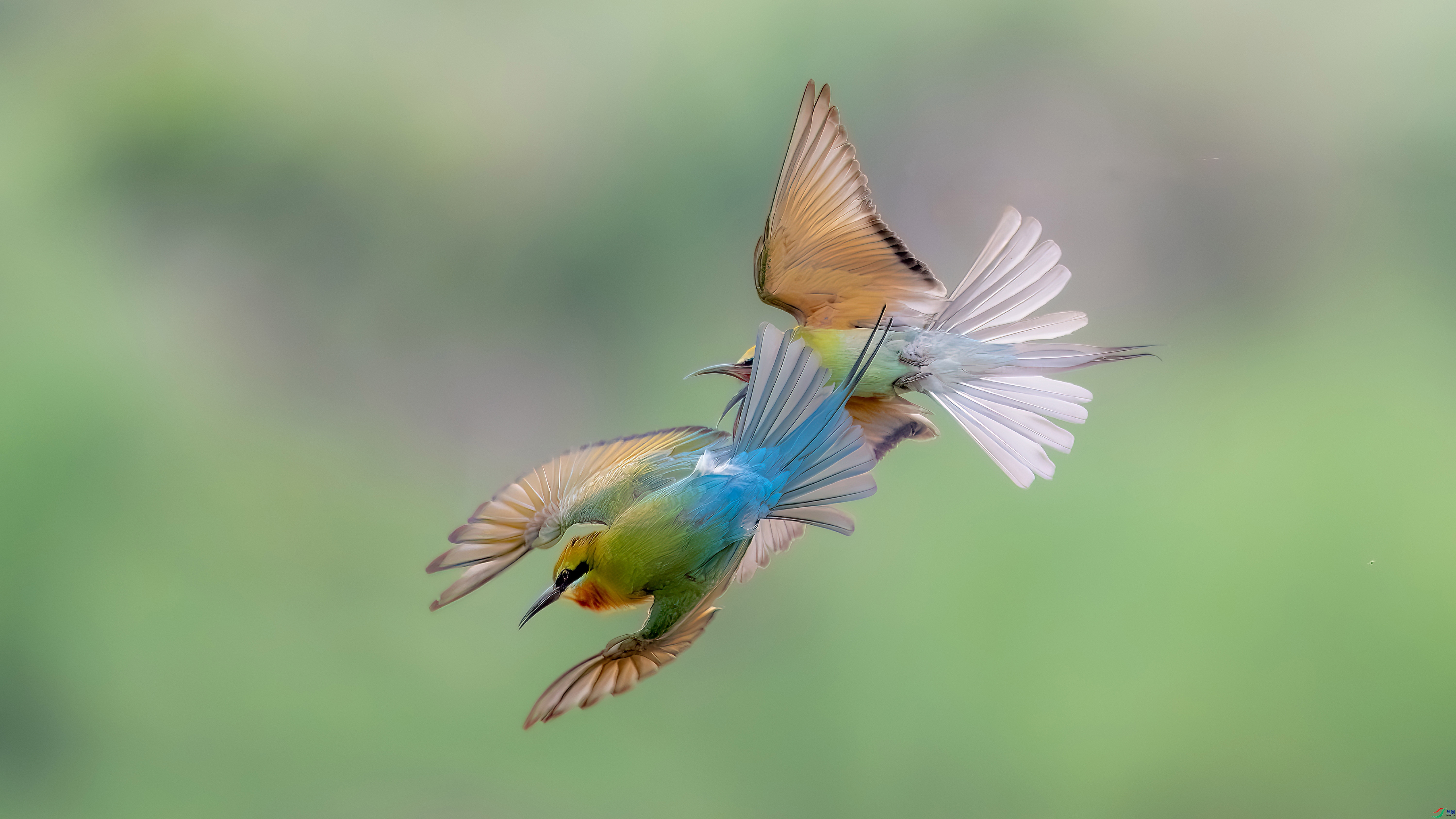 5.2��ˮԴͷ��ʦ��Ʒ   ׷ ��ף���ٻ�ÿ�ռ�����.jpg