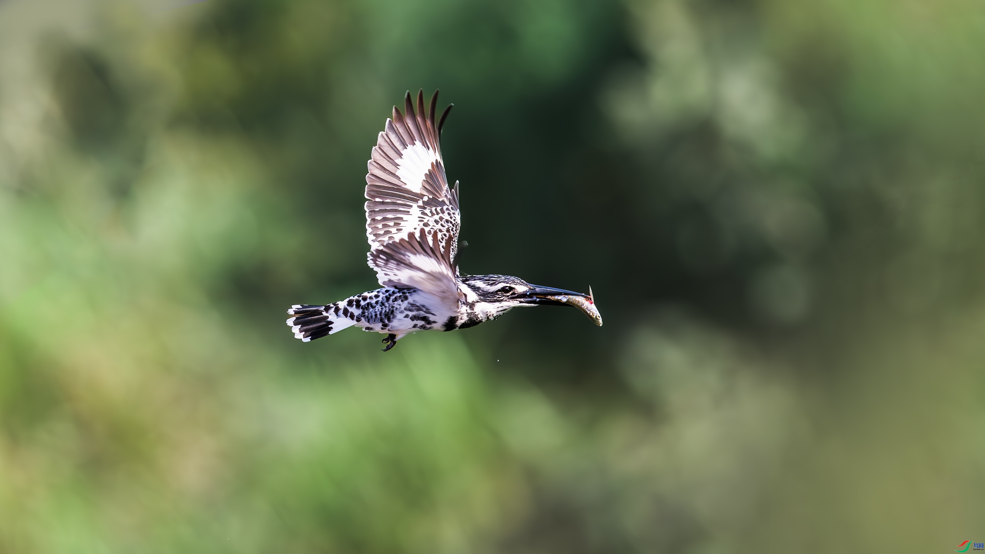 5.2��������ʦ��Ʒ   �ؼ�ι�� ��ף���ٻ����Ѿ�����.jpg