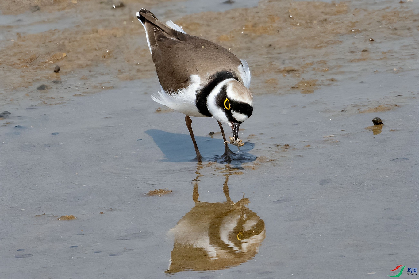 DSC_5124=.jpg