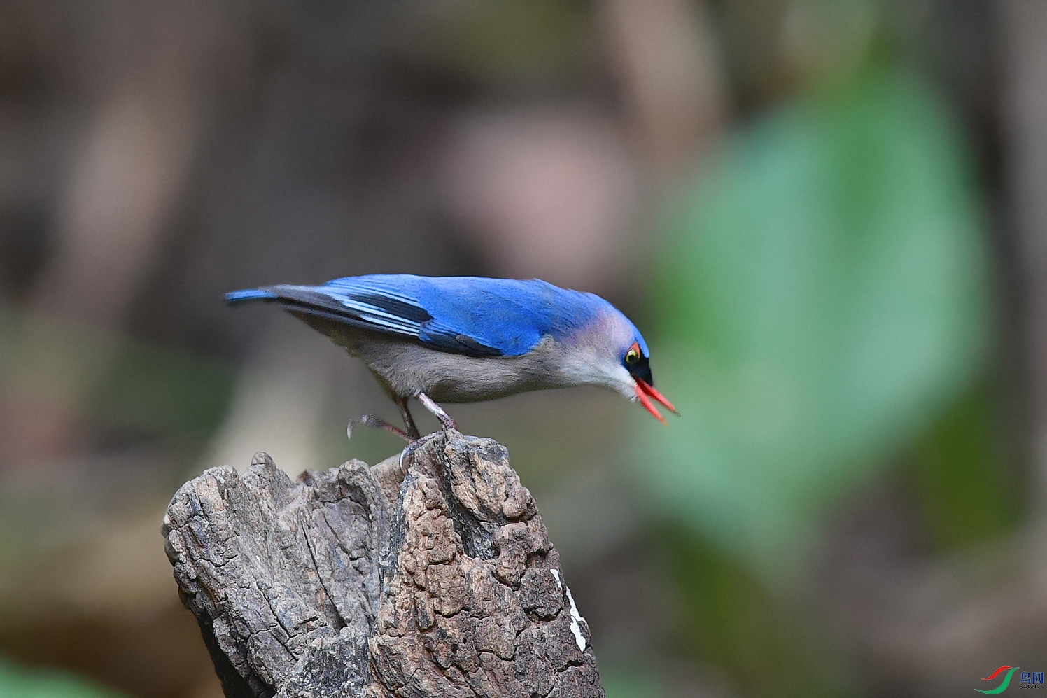 4DSC_6854_DxOa.jpg