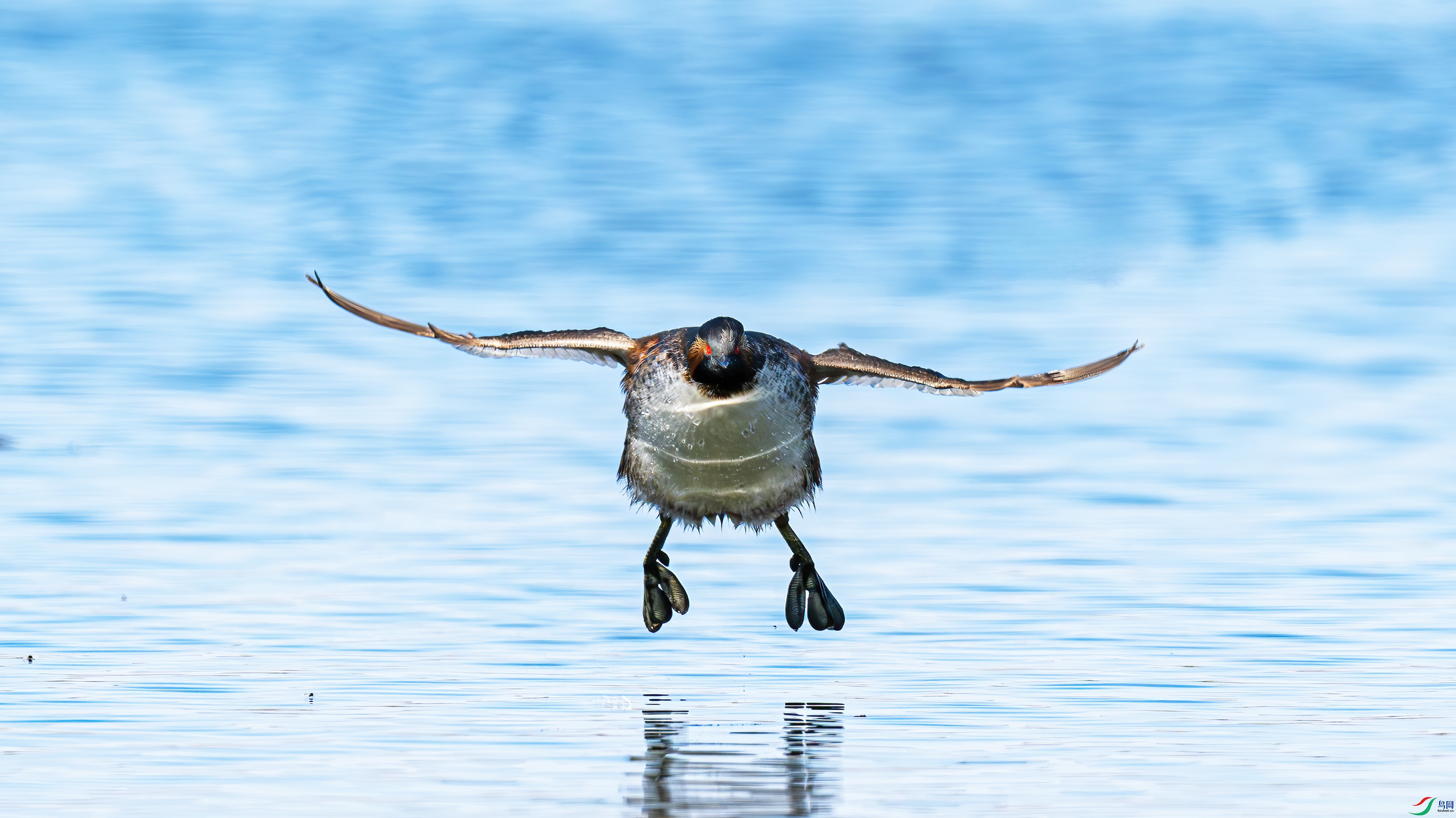 ��ˮ����