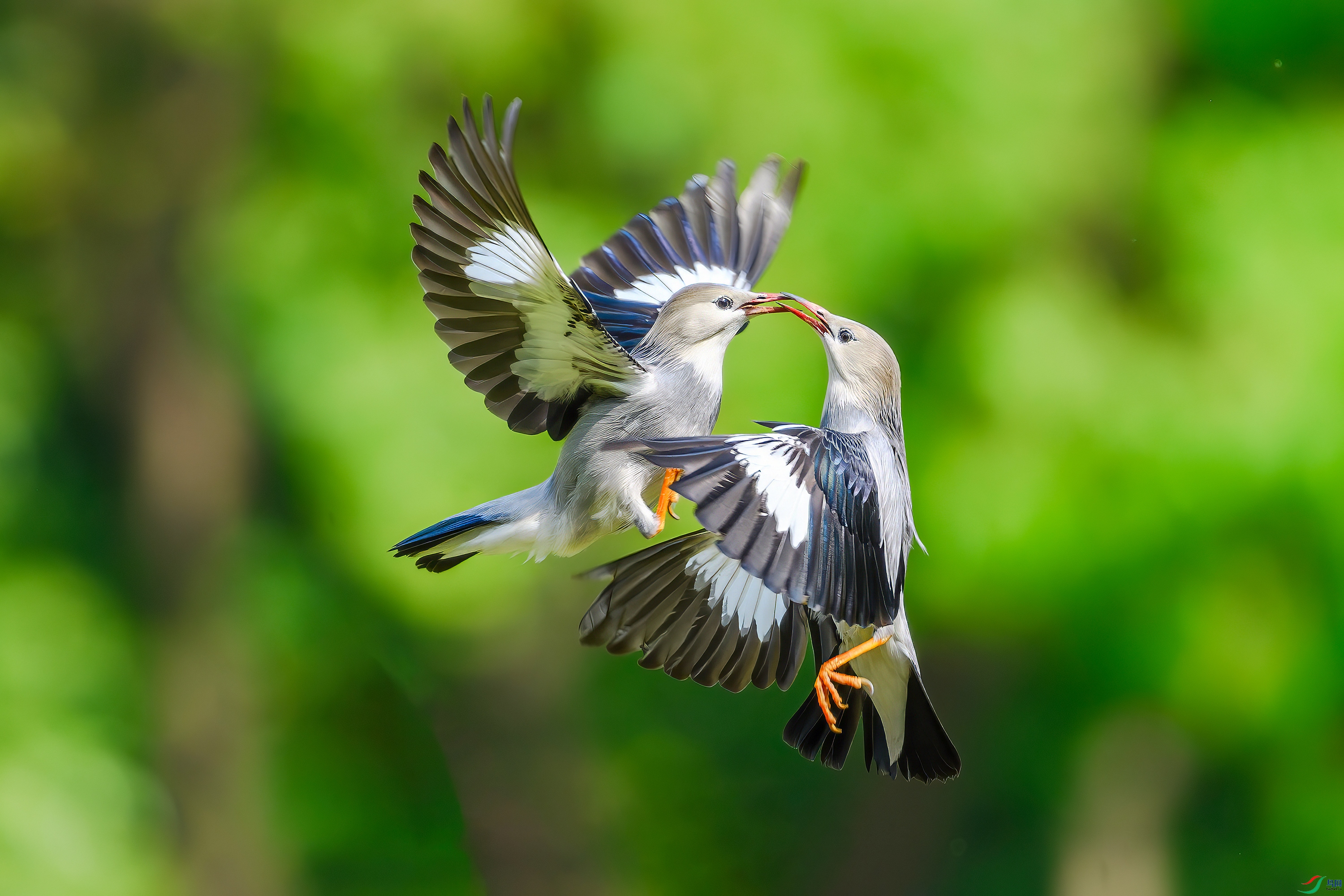 DSC_8209-AB.jpg