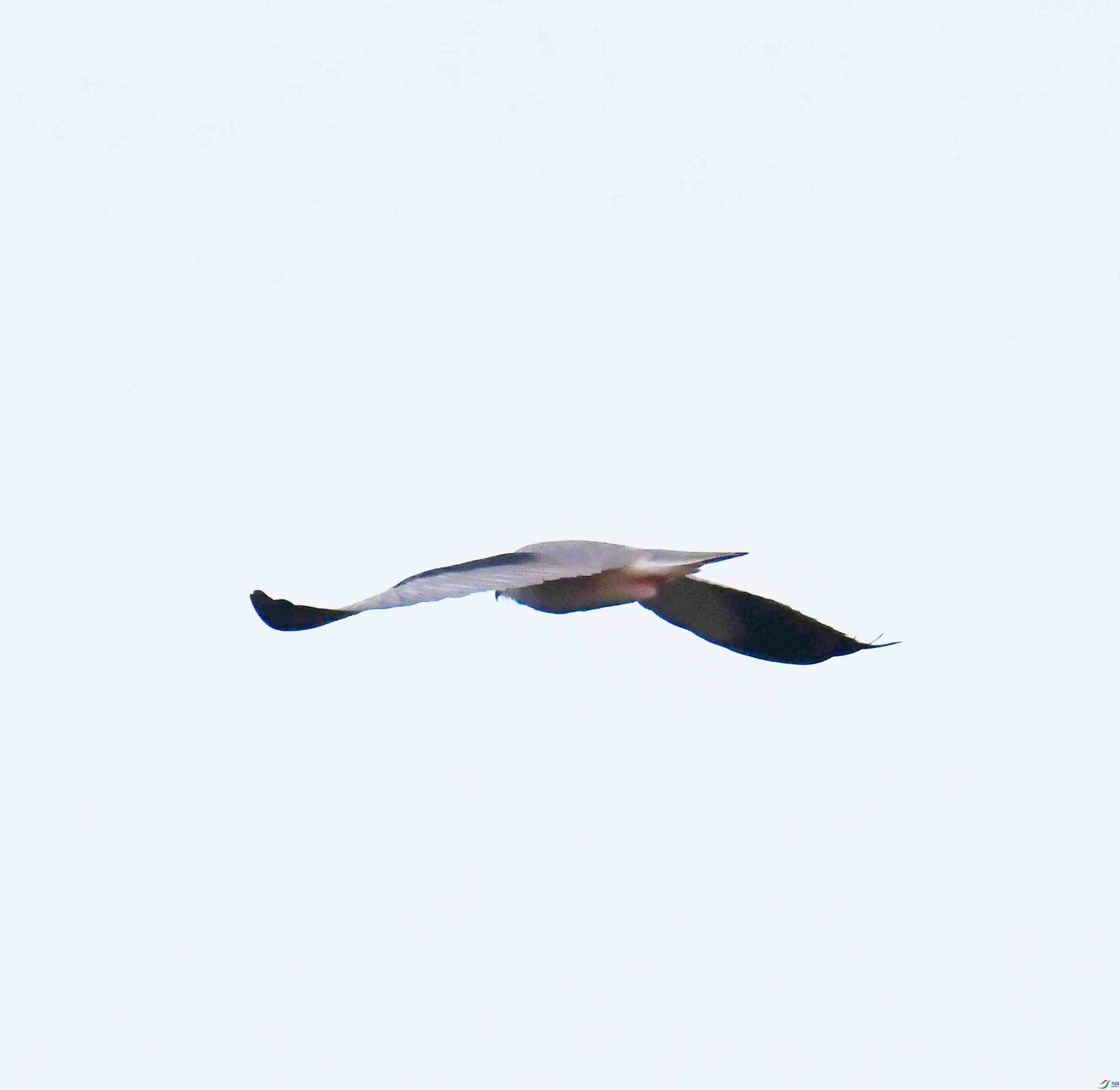 DSC_7373.JPG