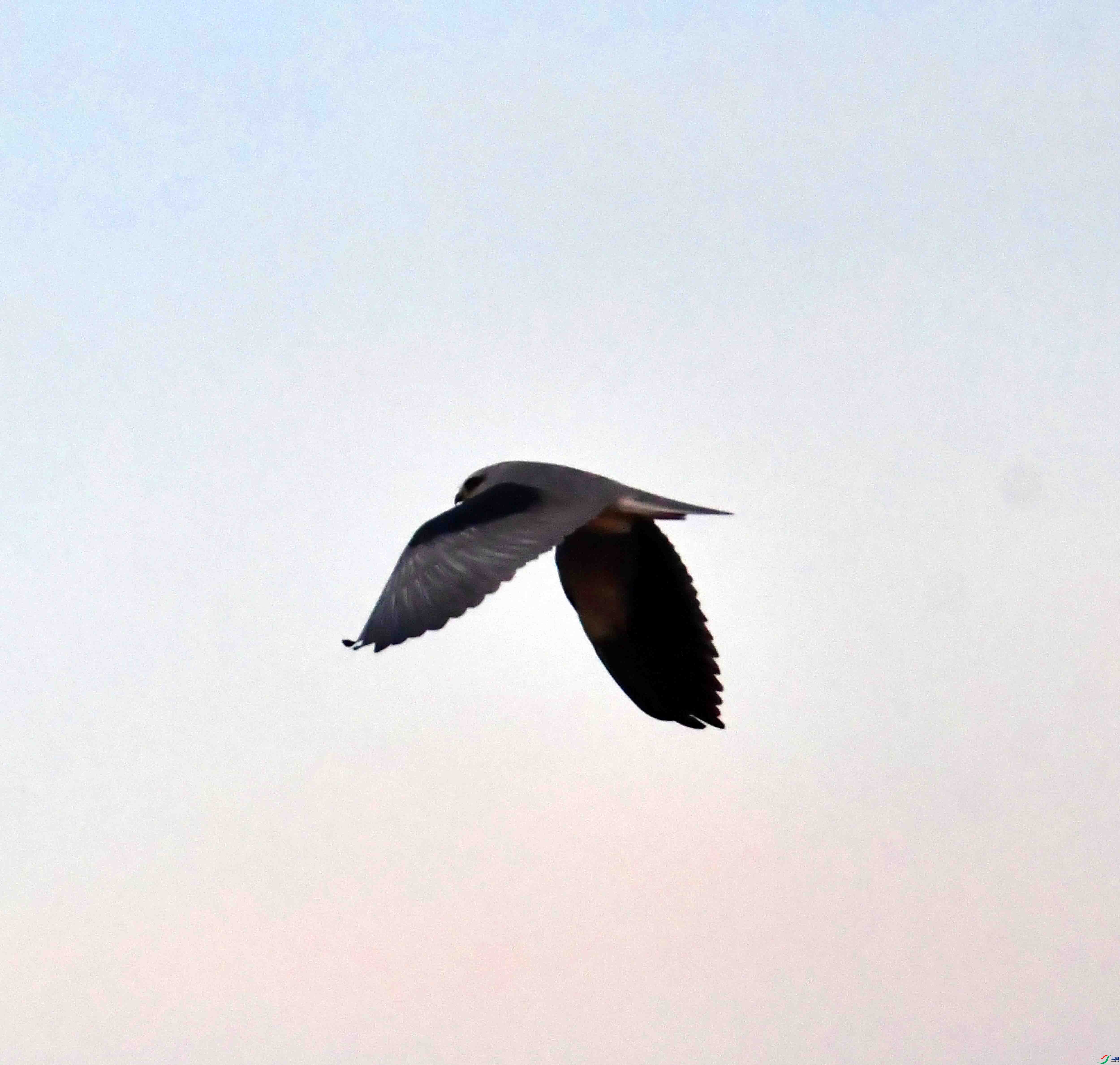 DSC_7380.JPG