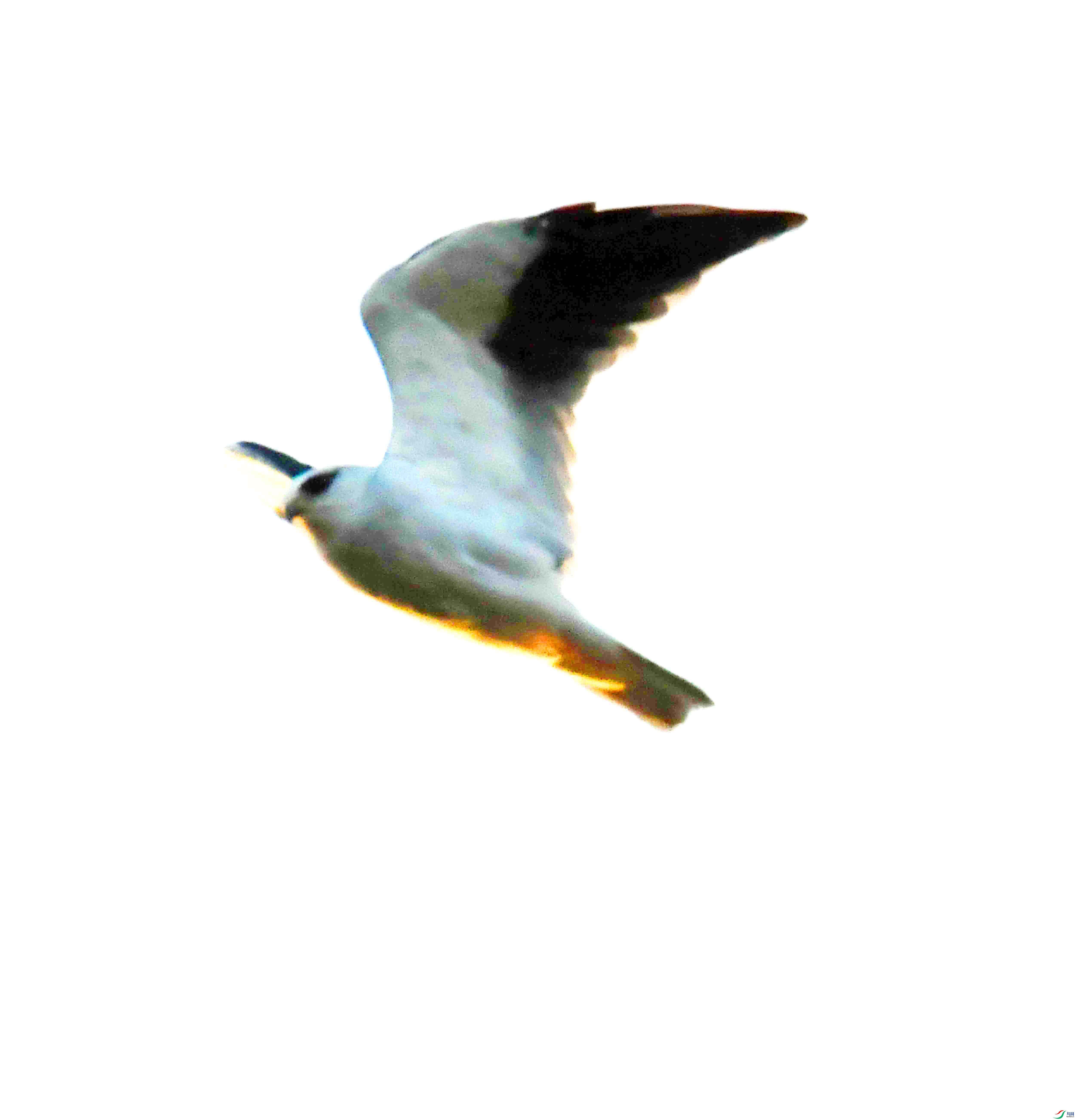 DSC_8771.JPG