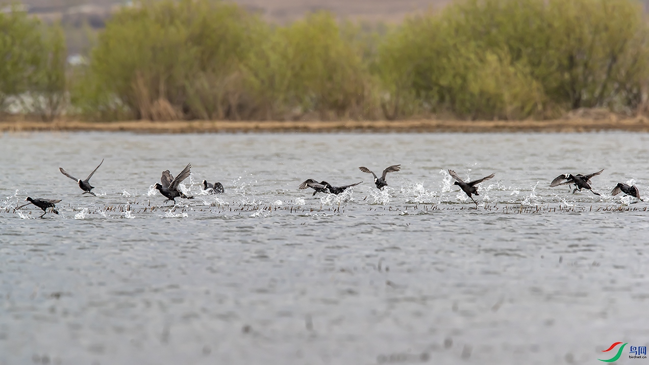 A63I1949 ����.jpg