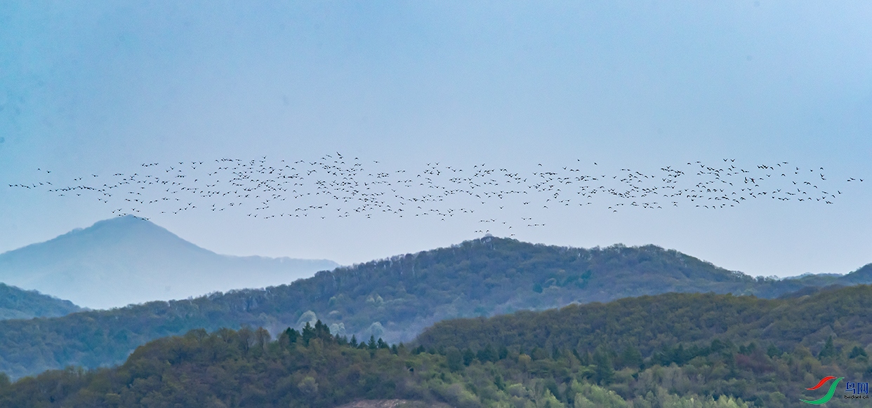 A63I1871 ���� 2.jpg