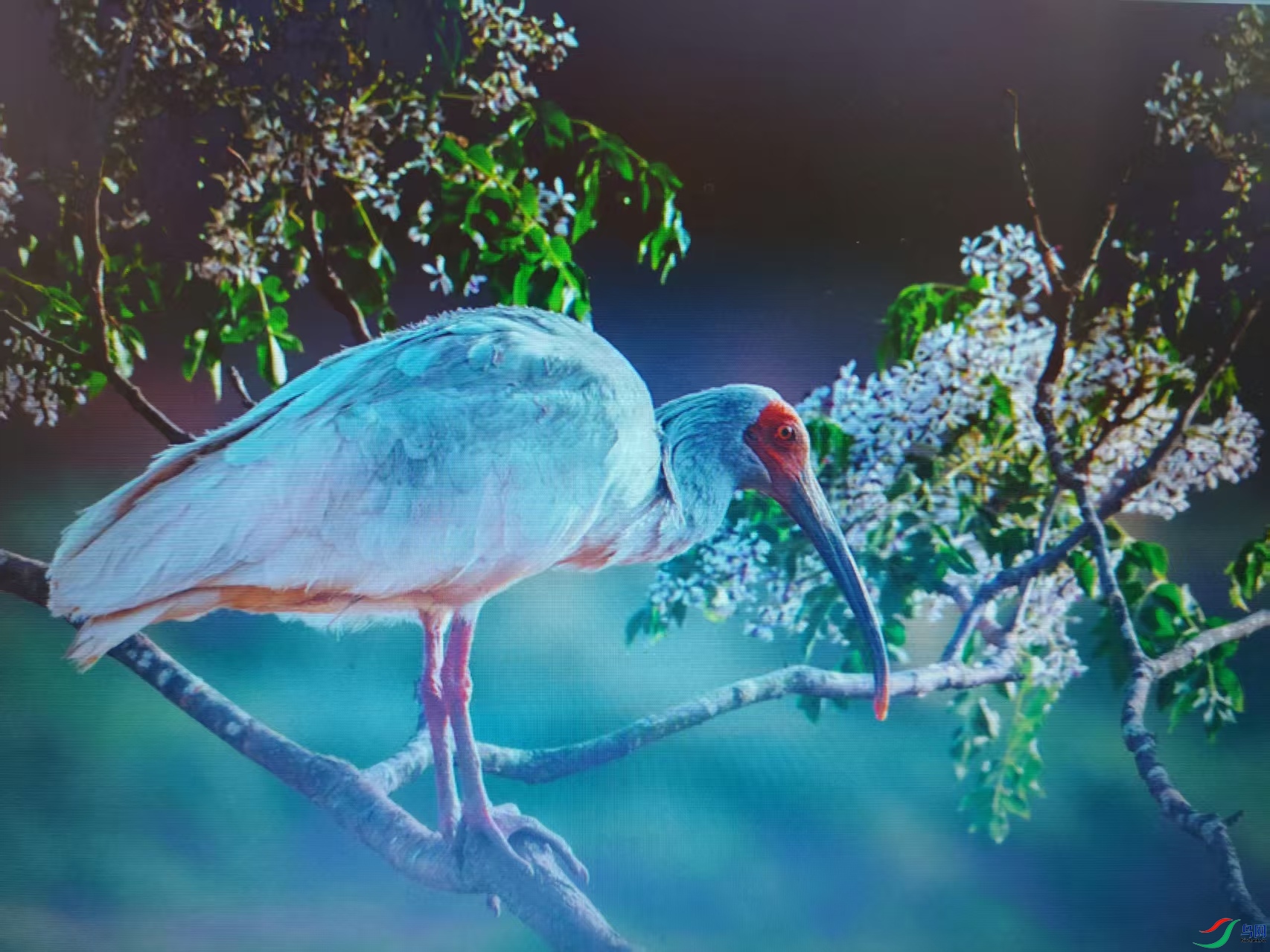 ���˵���Ʒ