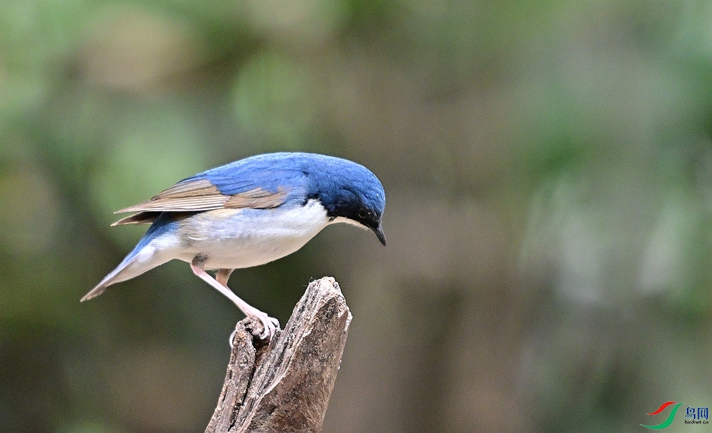 DSC_7769.JPG