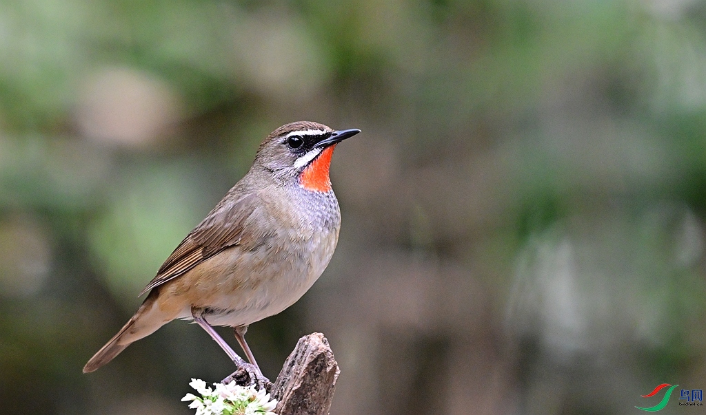 DSC_7358.JPG