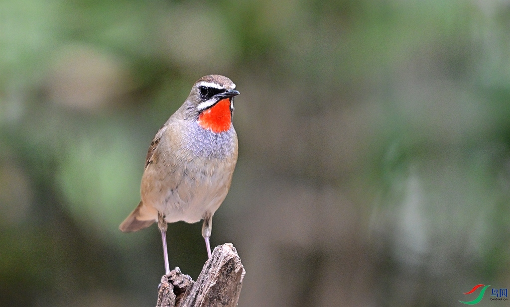 DSC_7579.JPG