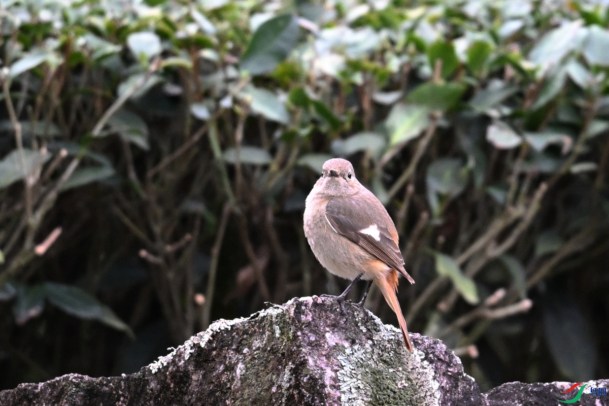 DSC_8837.JPG