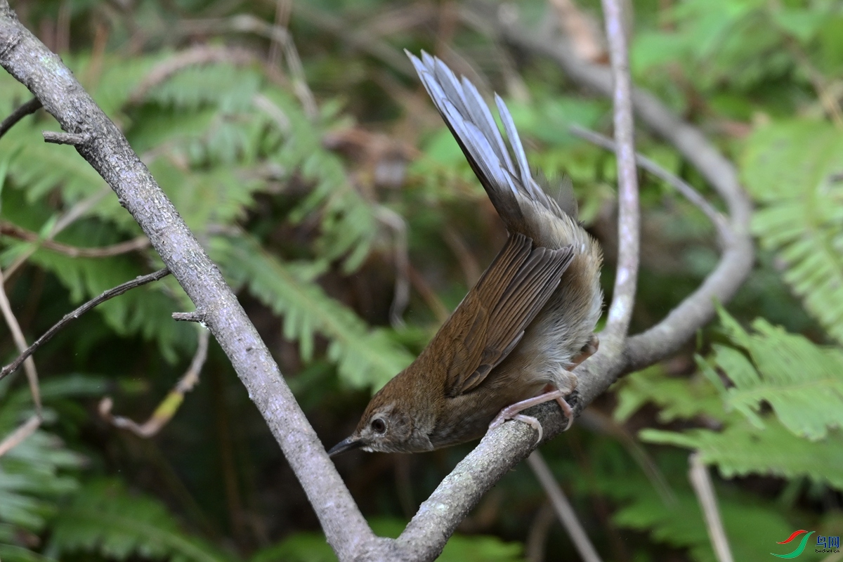 DSC_8854.JPG