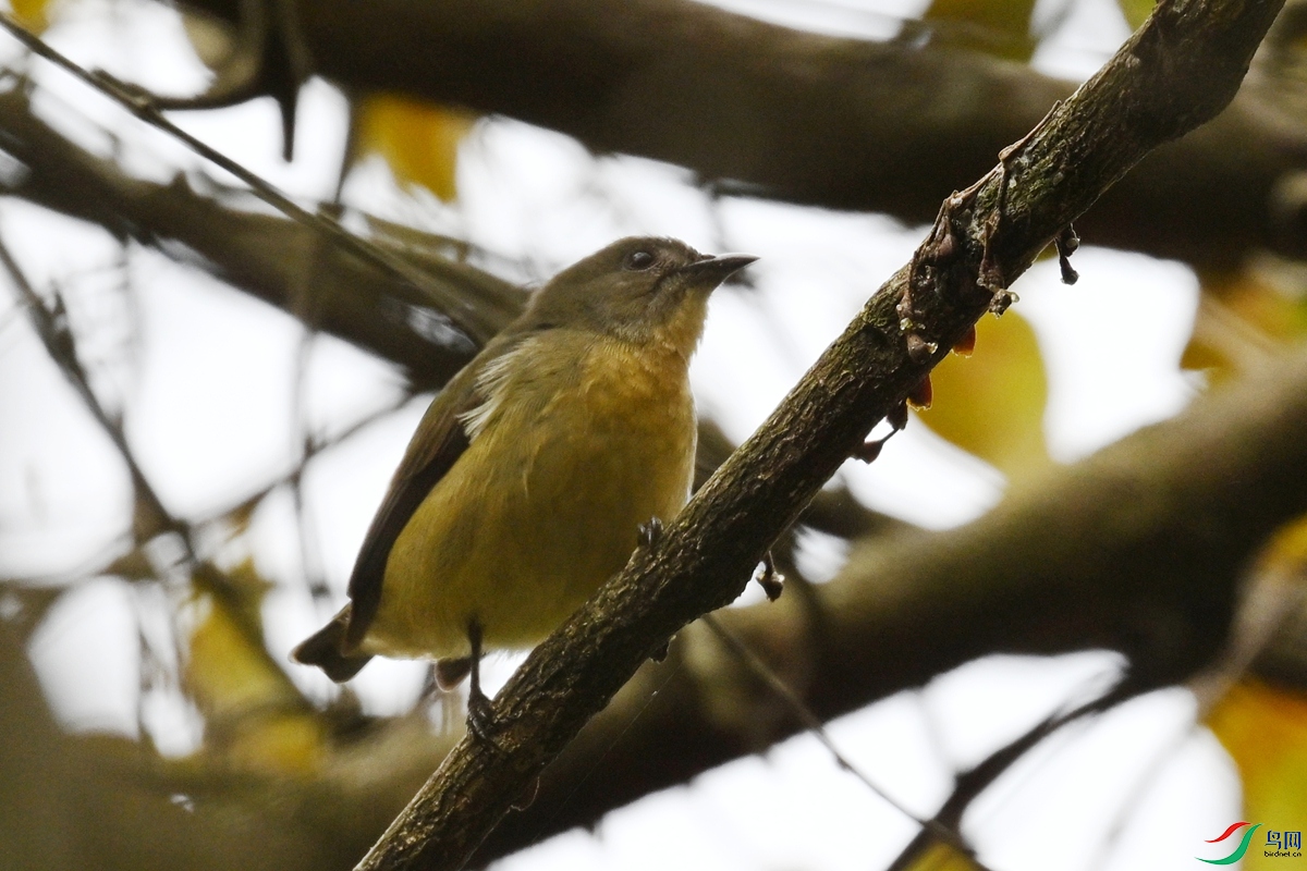 DSC_8847.JPG
