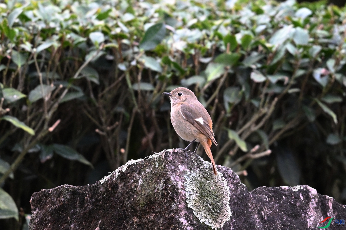 DSC_8839.JPG