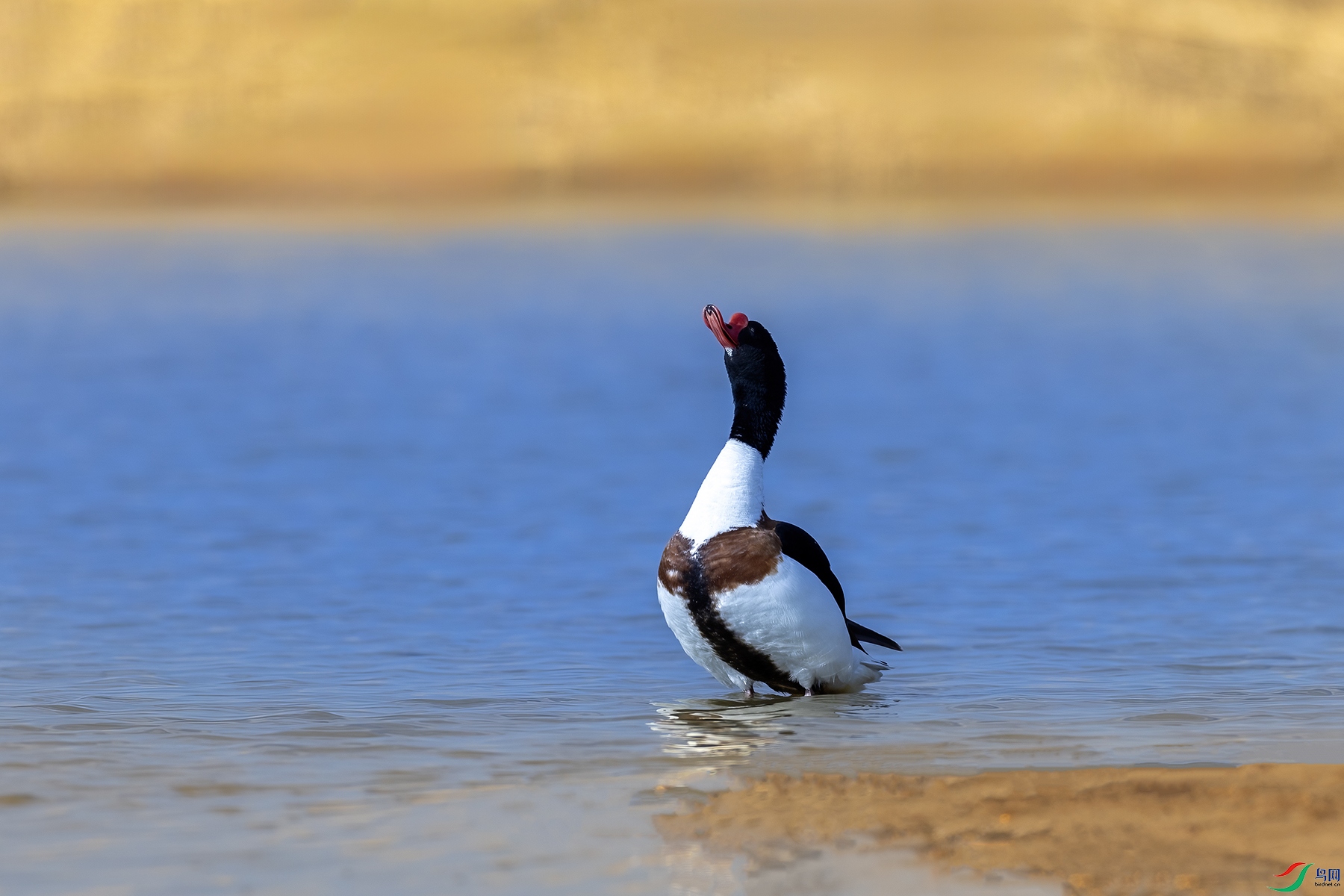 488A0003 ����.jpg