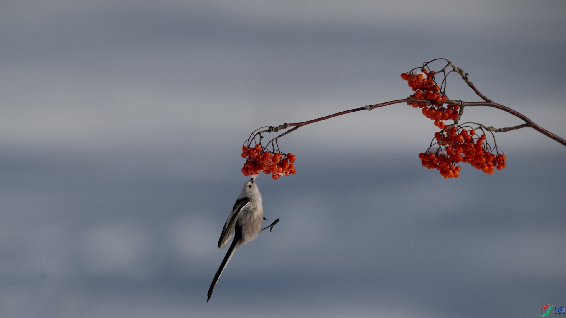 _DSC6839-1x1.jpg